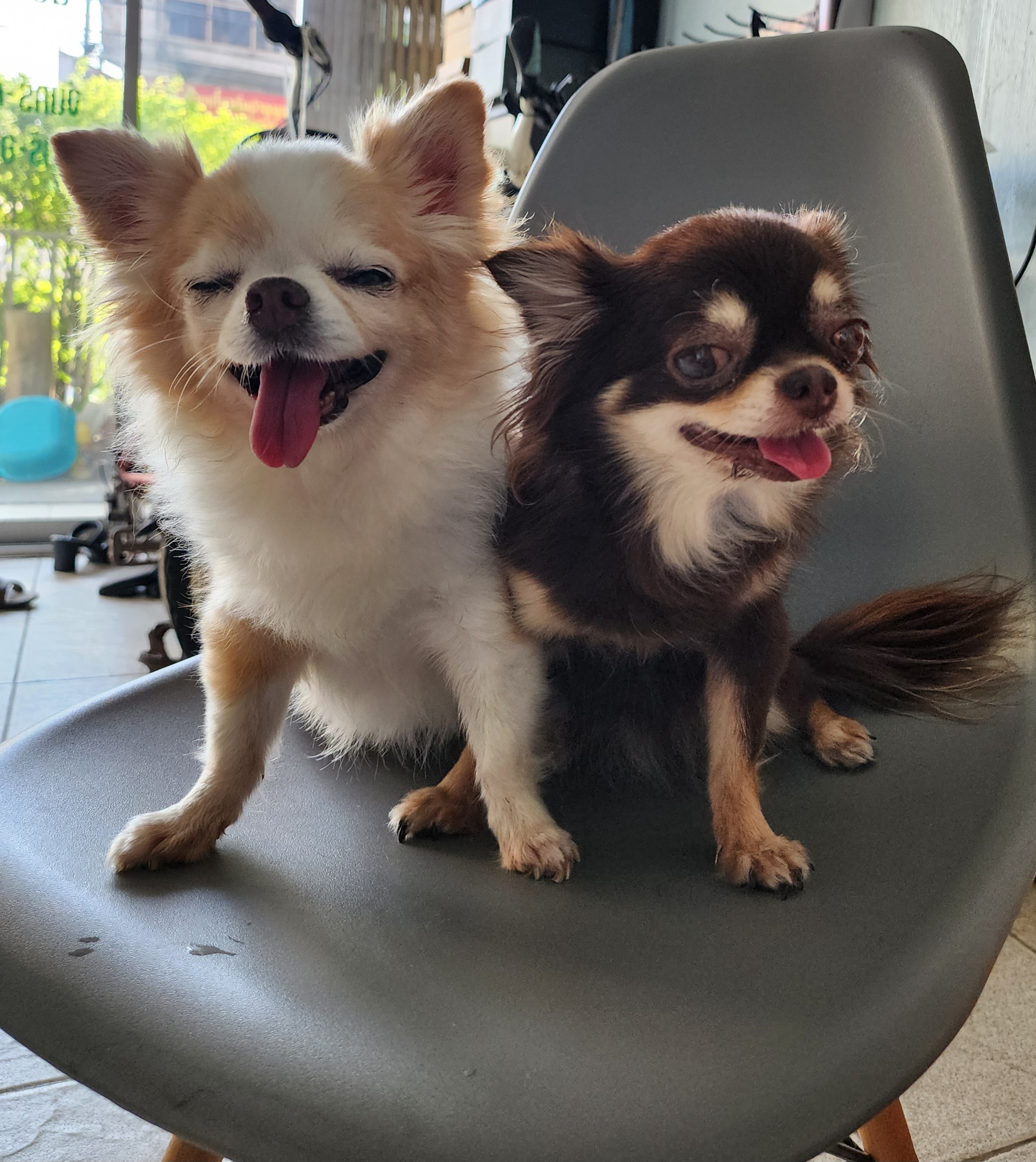 Nuanchan Veterinary