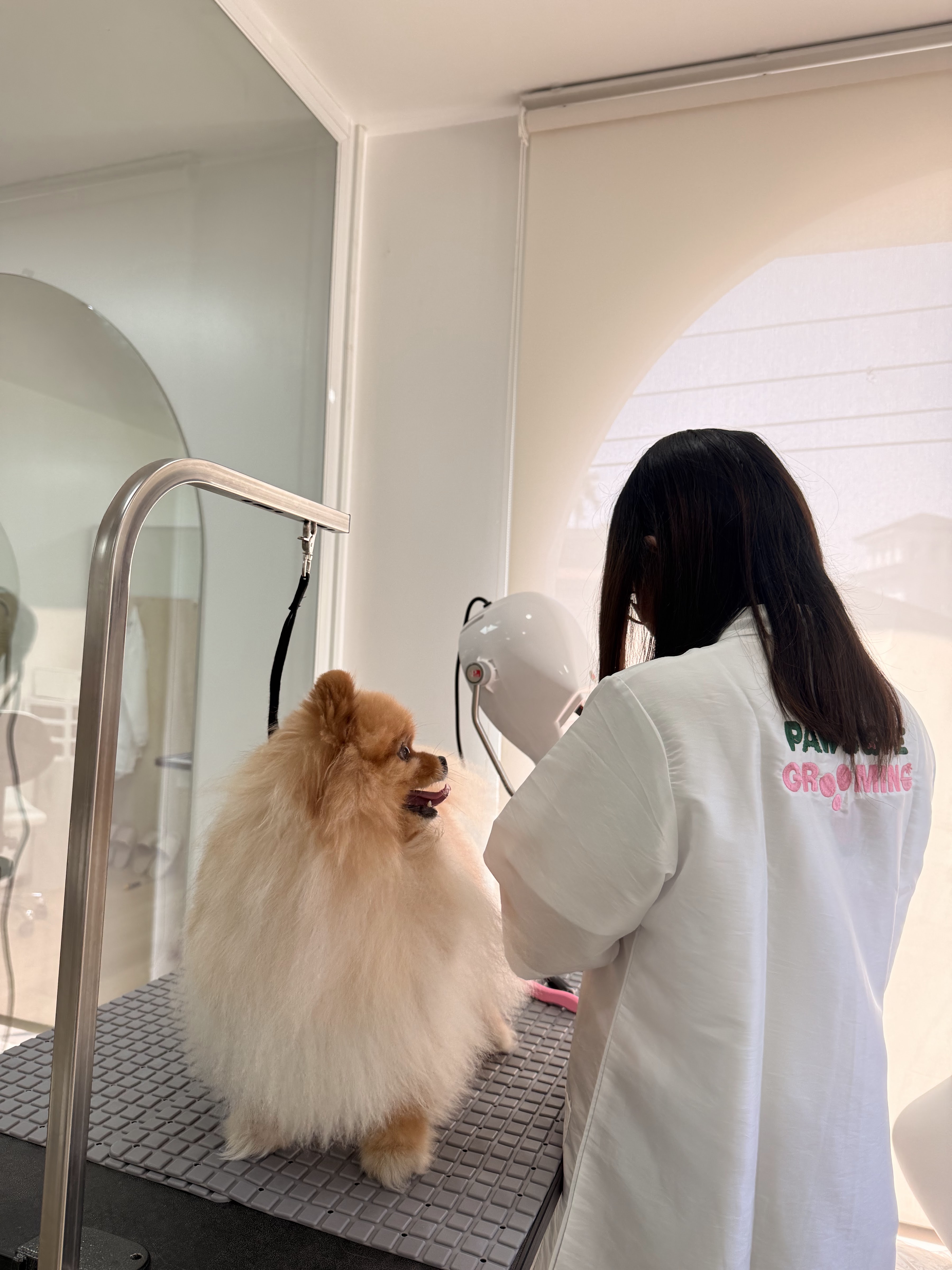 Pawsome Space Bangkok