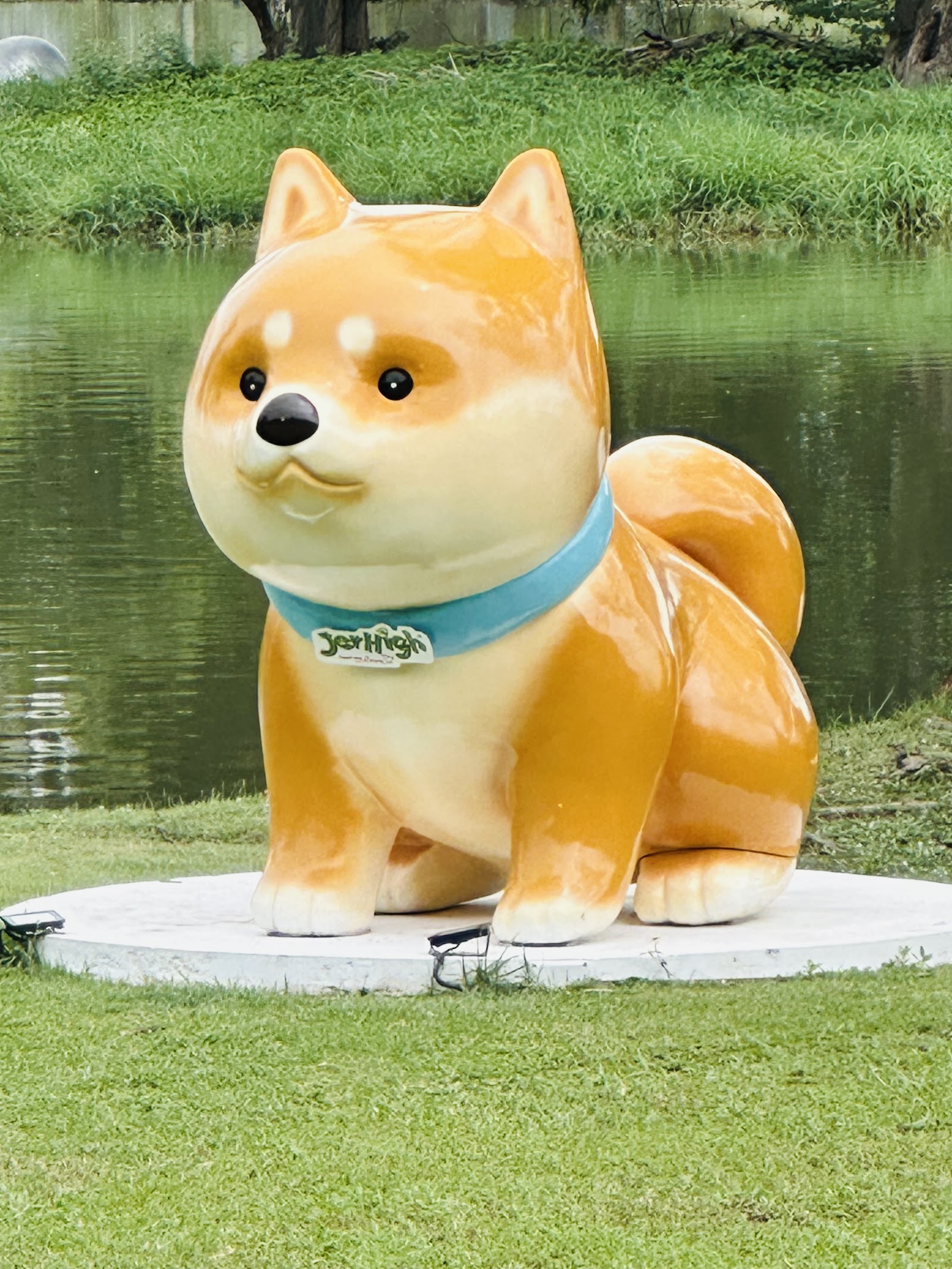 Pet Park Chatuchak