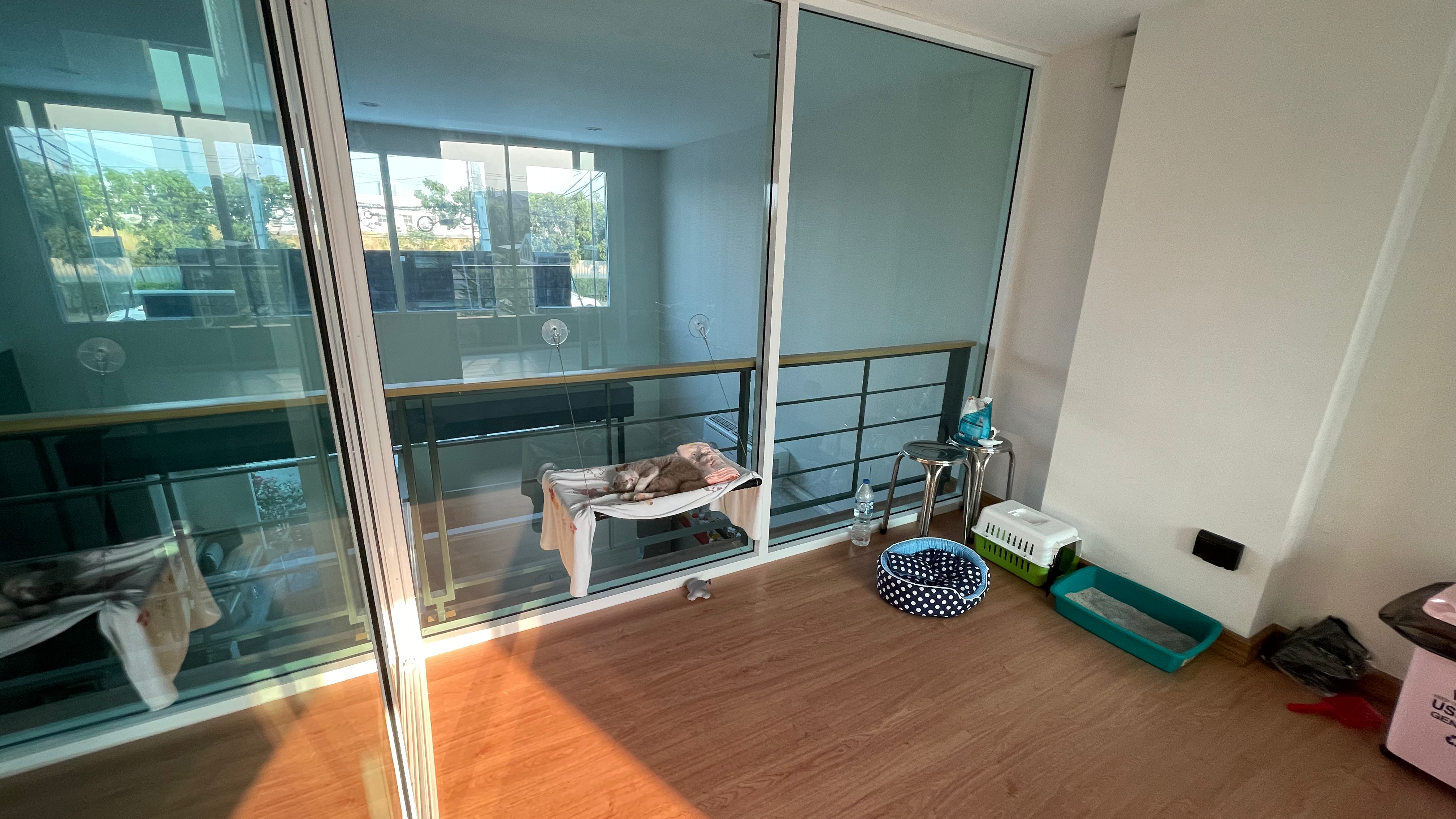 PET PERFECT CLINIC