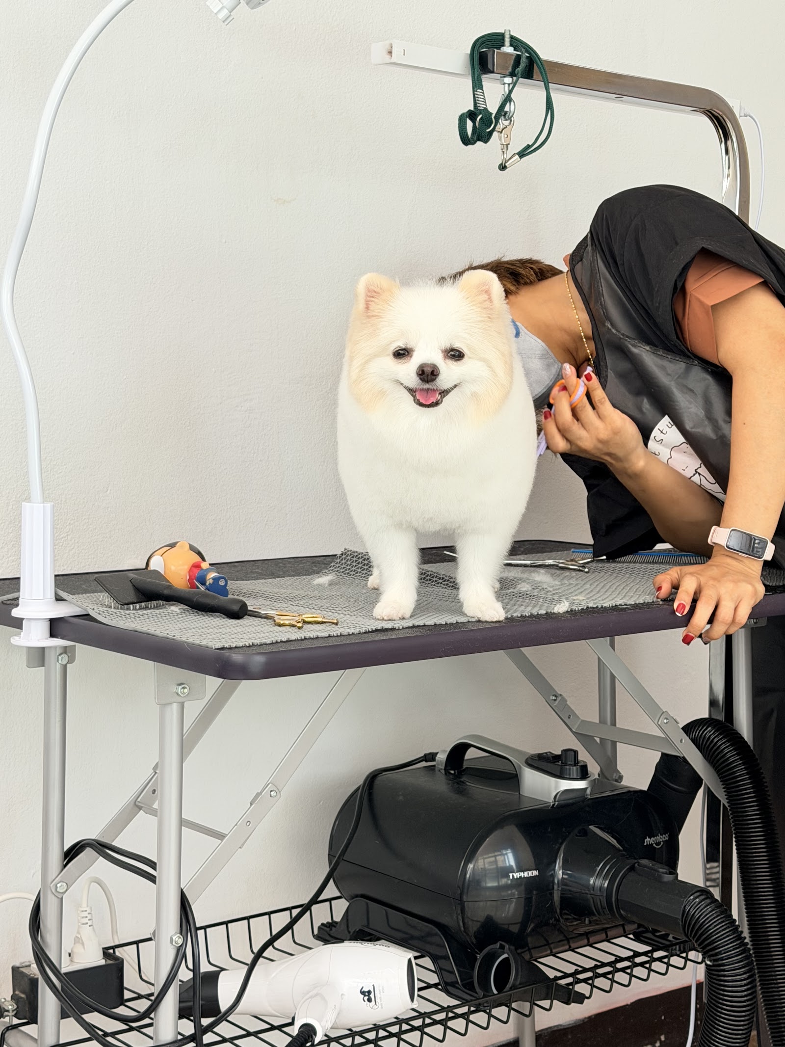 Purluche Premium Pet Grooming