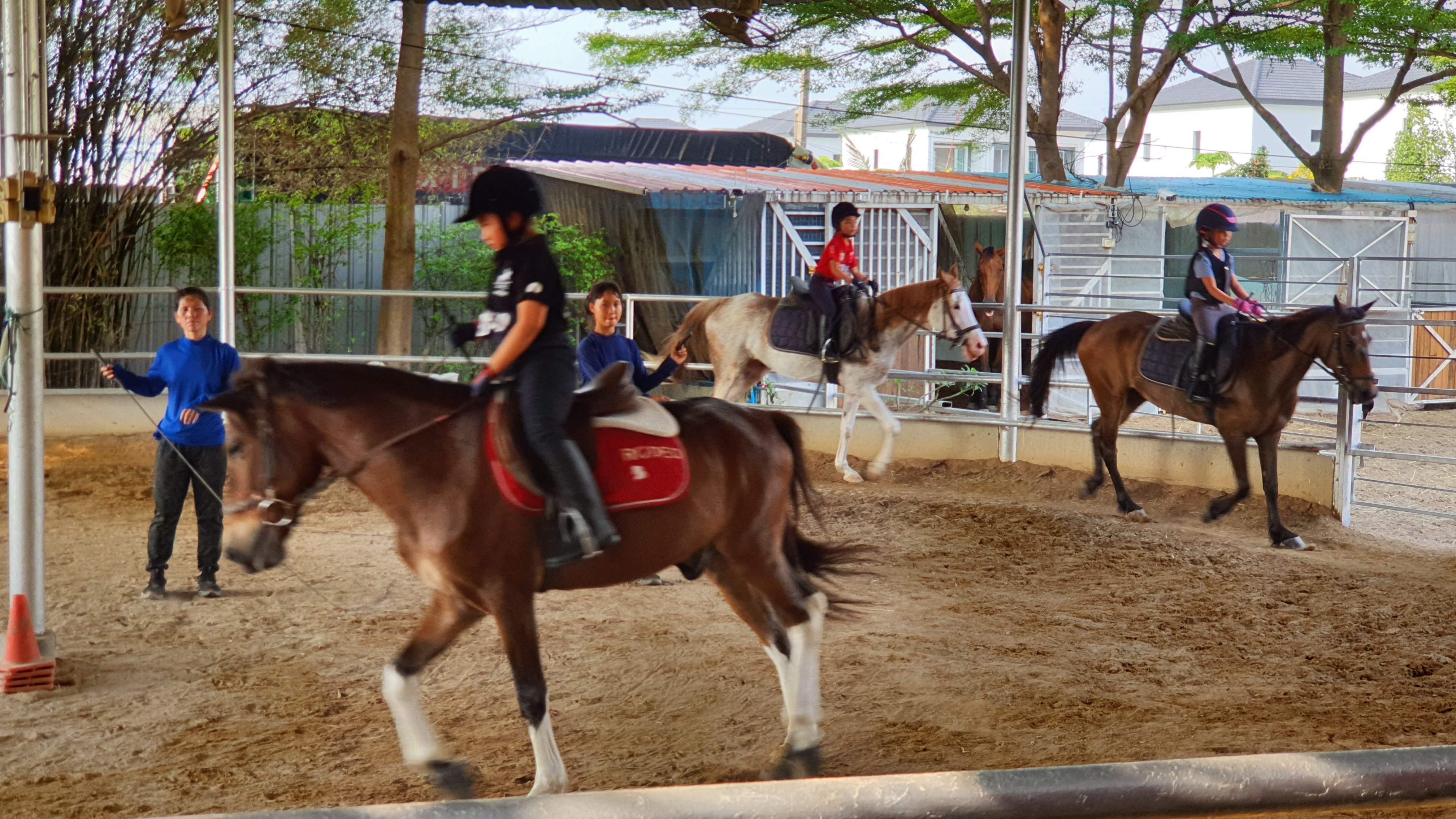 Rodeo Horse Riding BKK