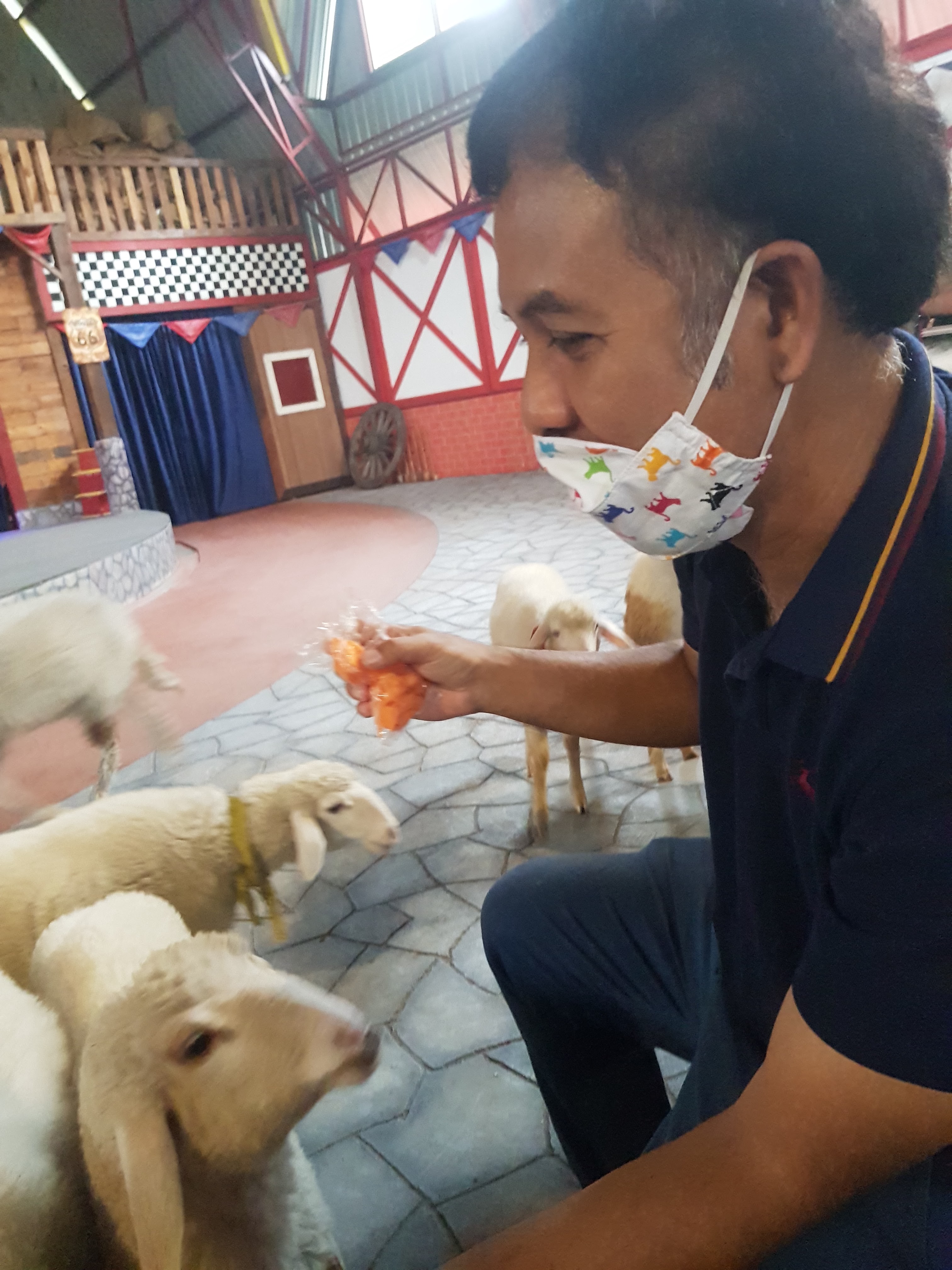 S.T.Pet Care Veterinary Clinic