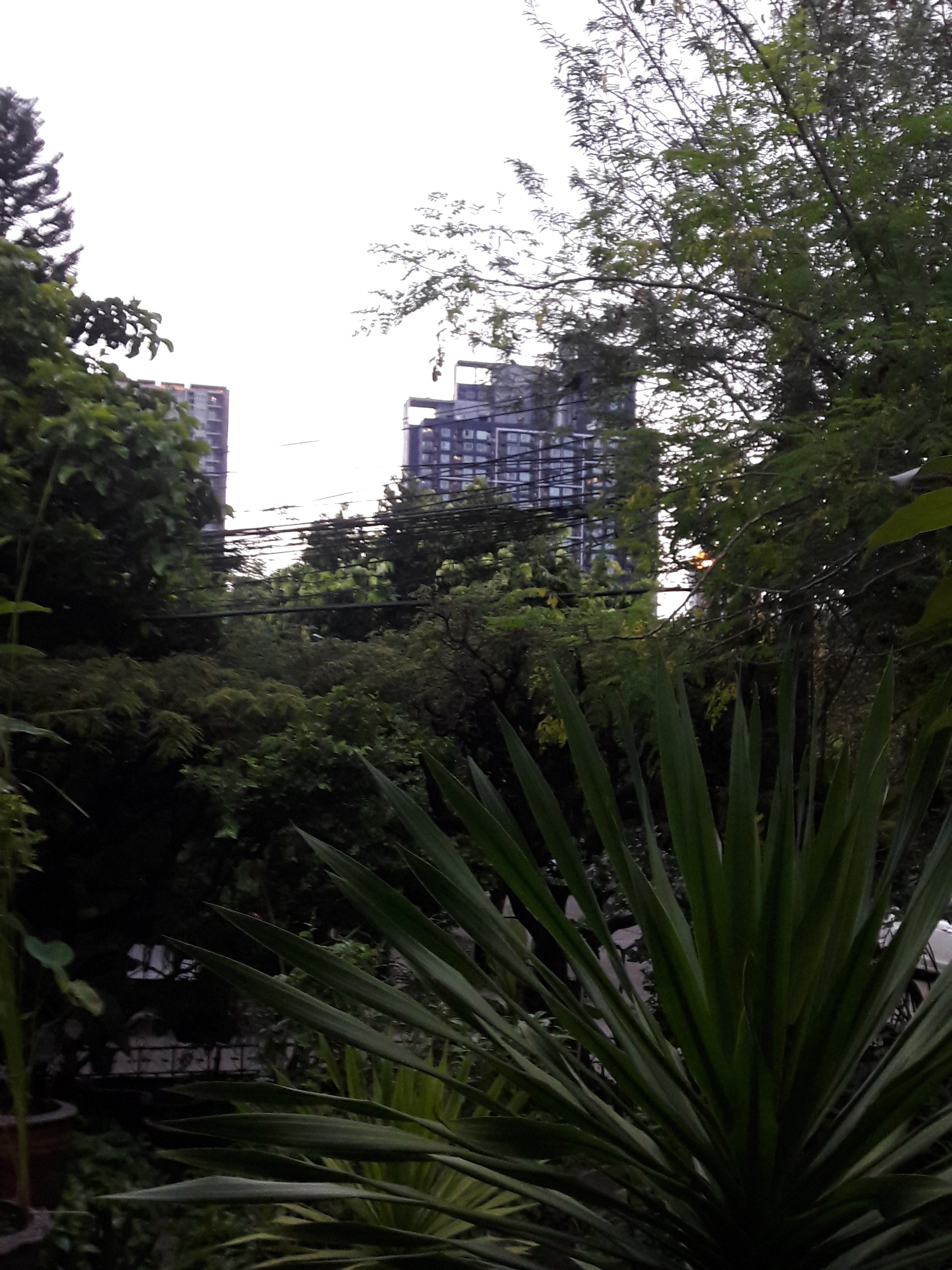 Sukhumvit Garden City