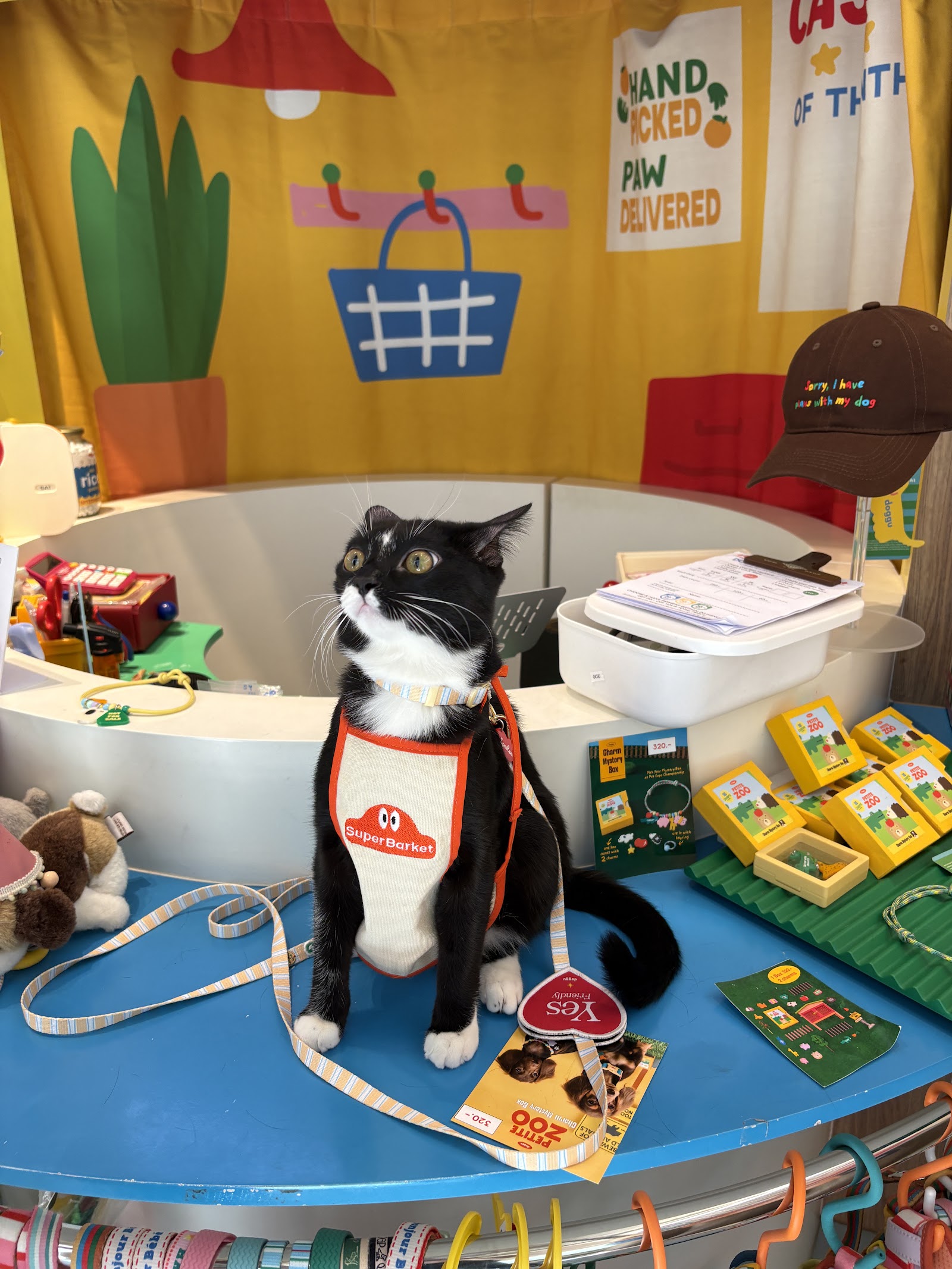 Superbarket store by doggu pets