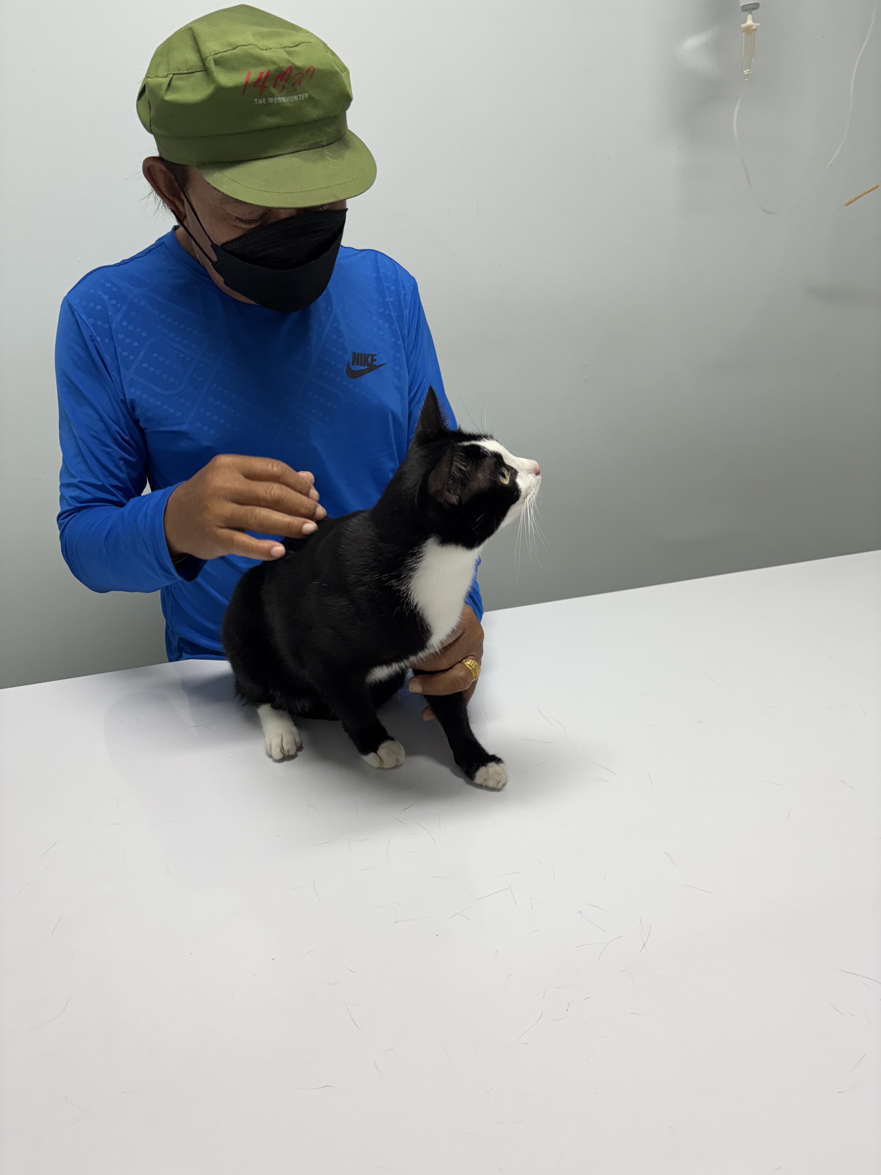 Taveerat Vet Clinic