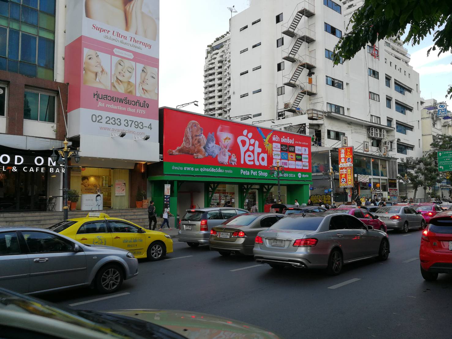 The Pets Zoo Silom