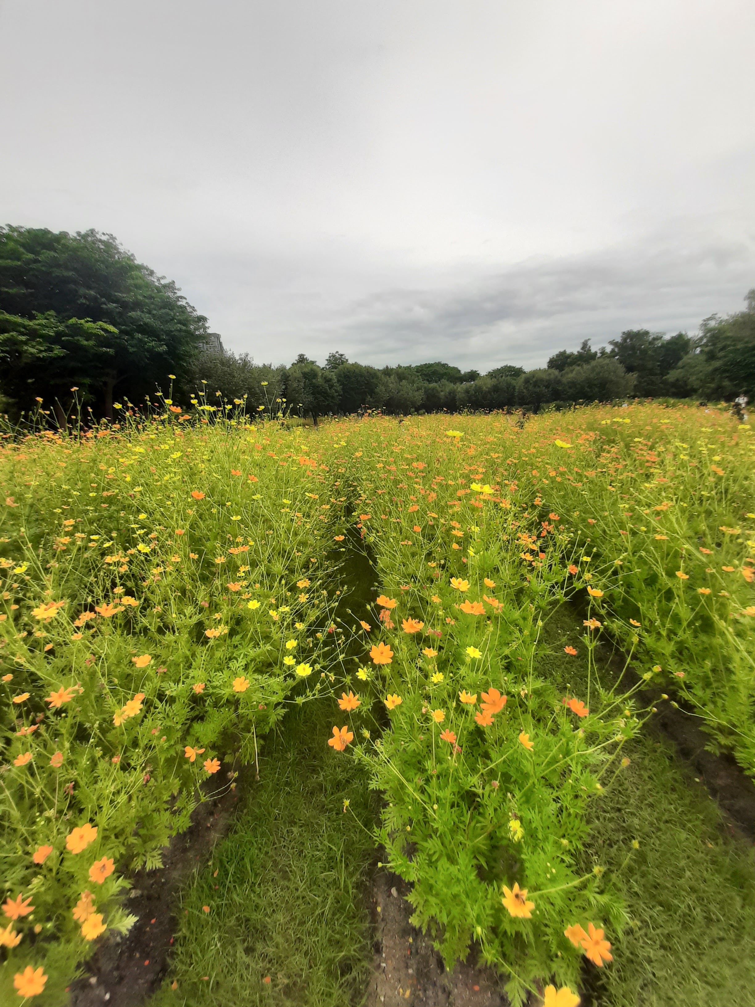 Wachirabenchathat Park (State Railway Park)