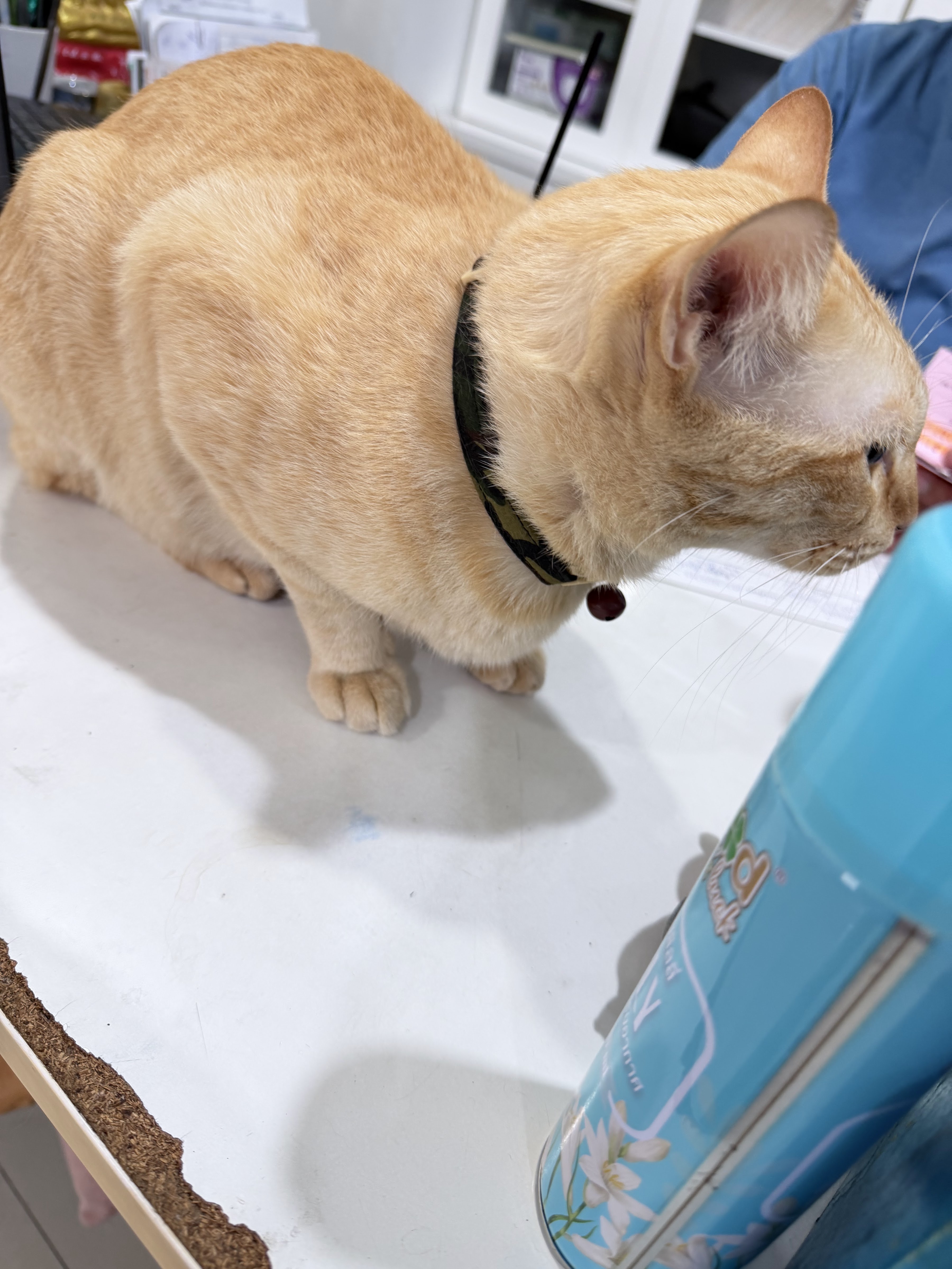Warawut Veterinary Clinic