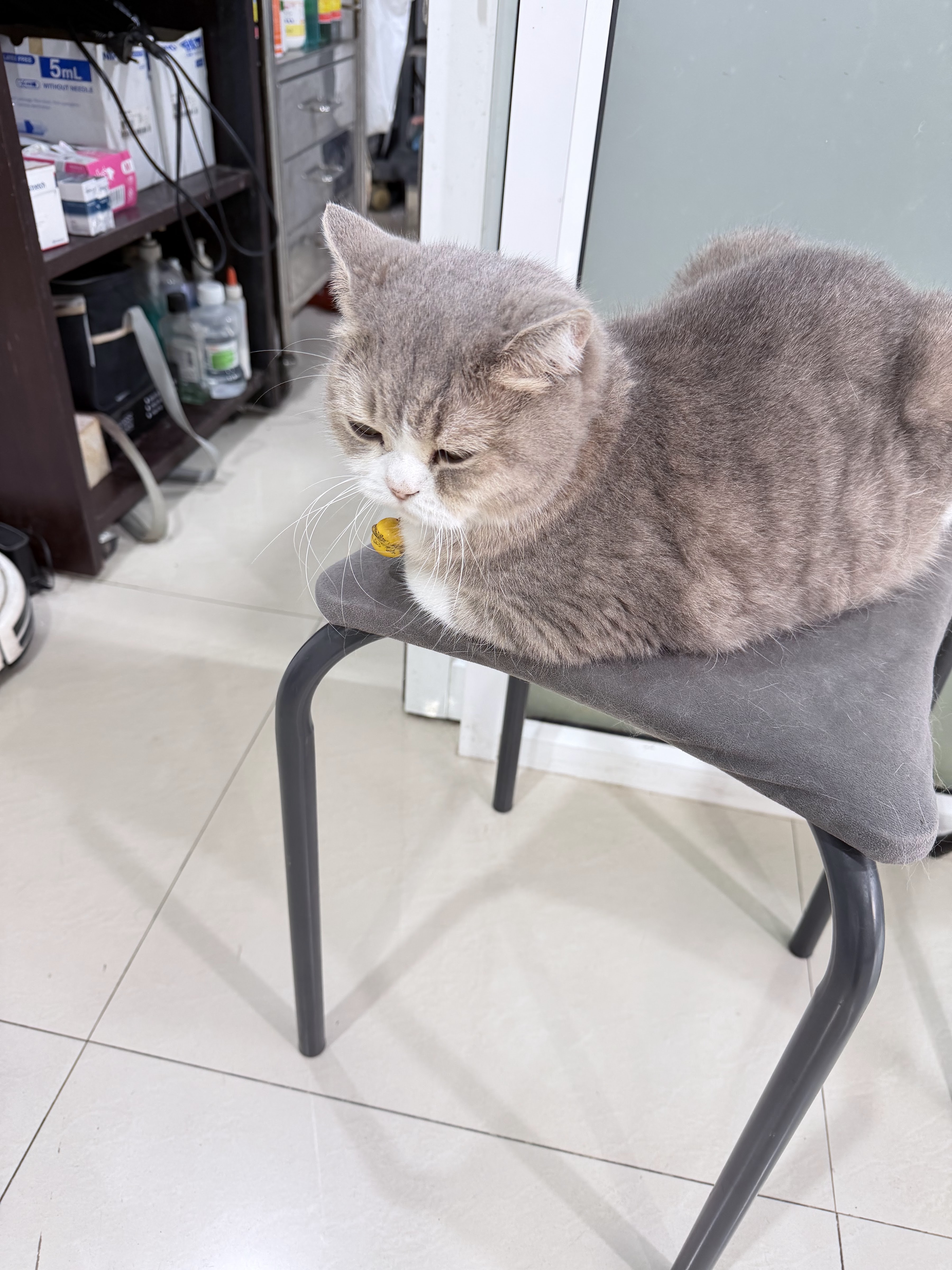 Warawut Veterinary Clinic