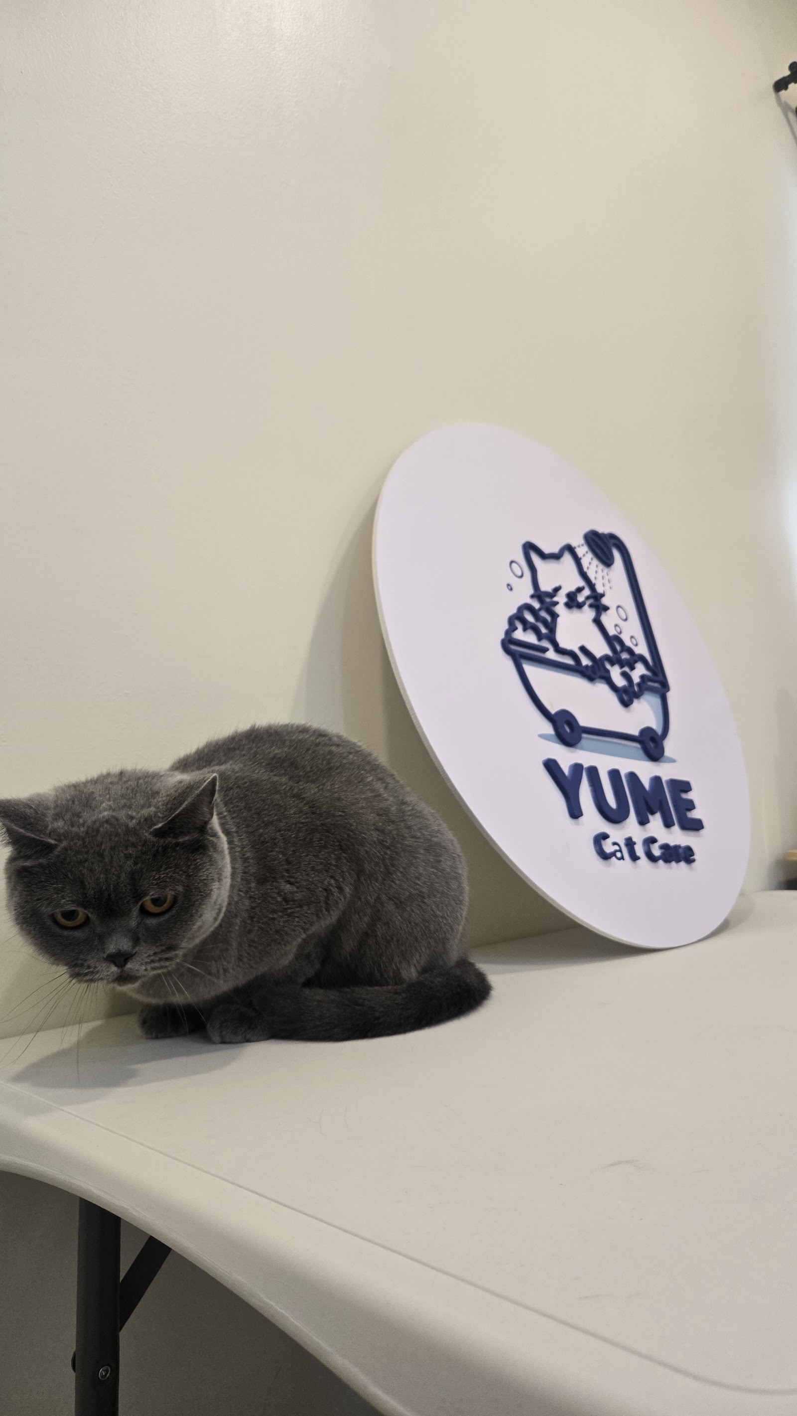 Yume Cat Care