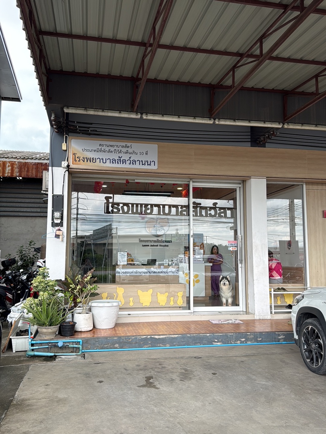 Lanna Animal Hospital