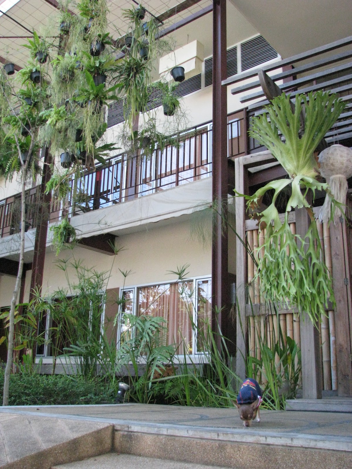 3B Boutique Bed & Breakfast