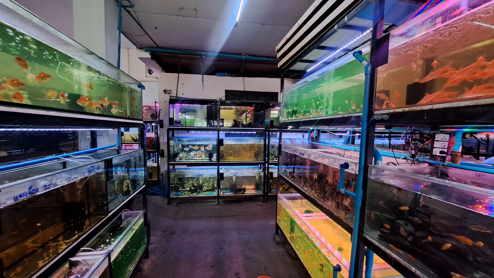 Andaman Aquarium