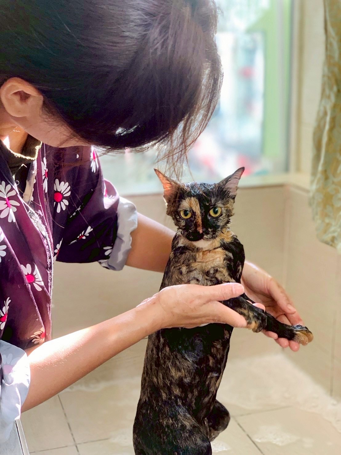 by Cat Castle