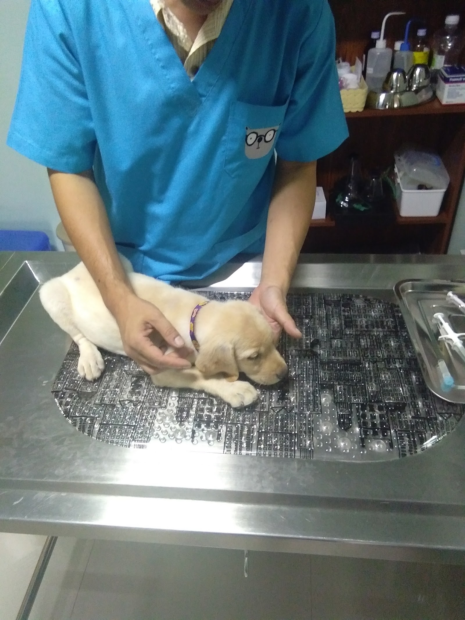 Footprints Animal Clinic