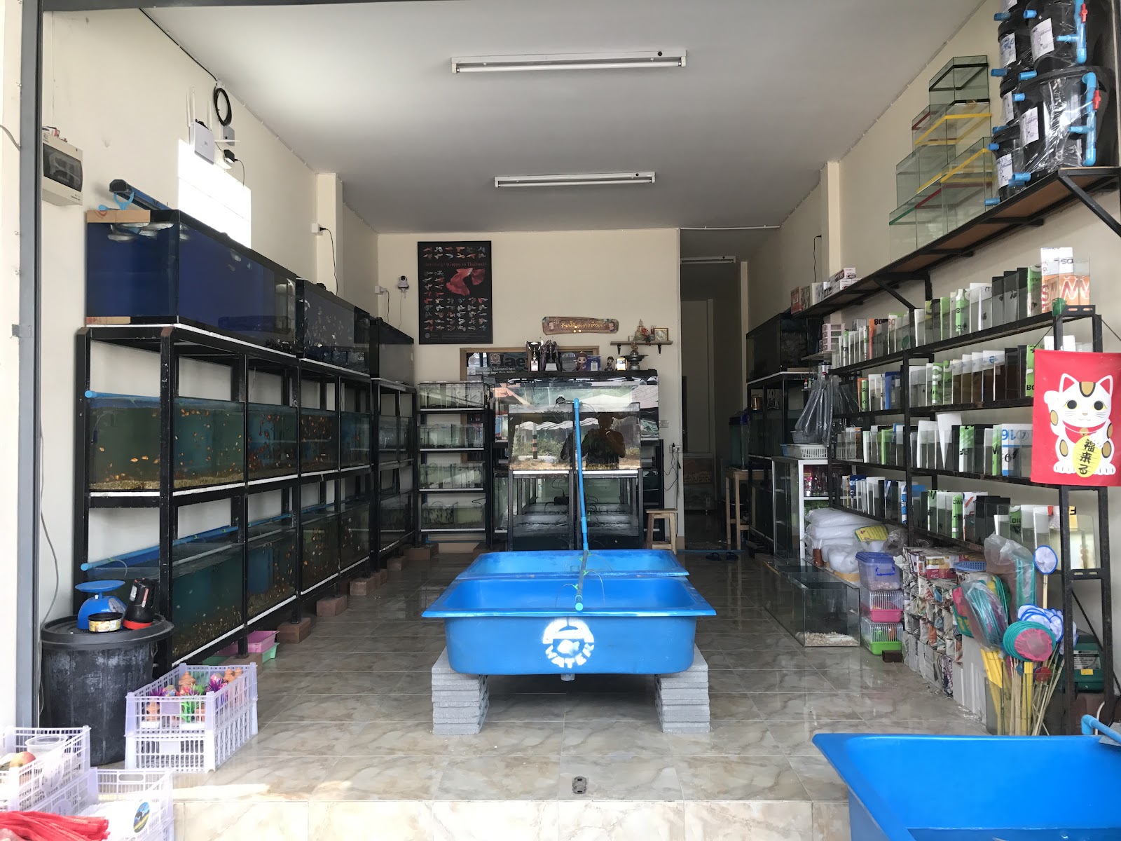 Maejo Aquatic CNX