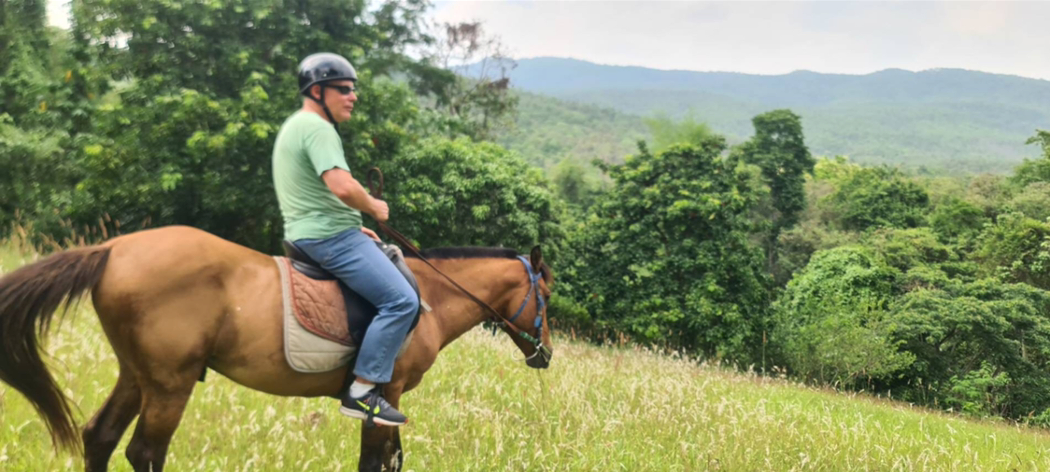 On Horse Farm