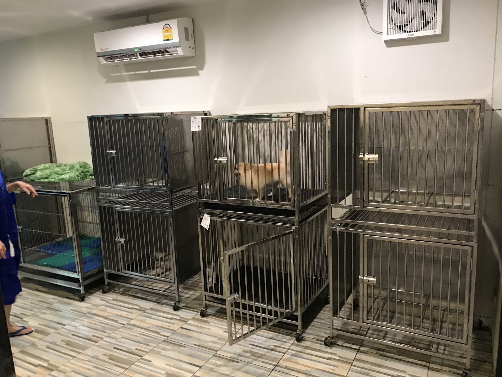 Pet Village (Pet Salon)