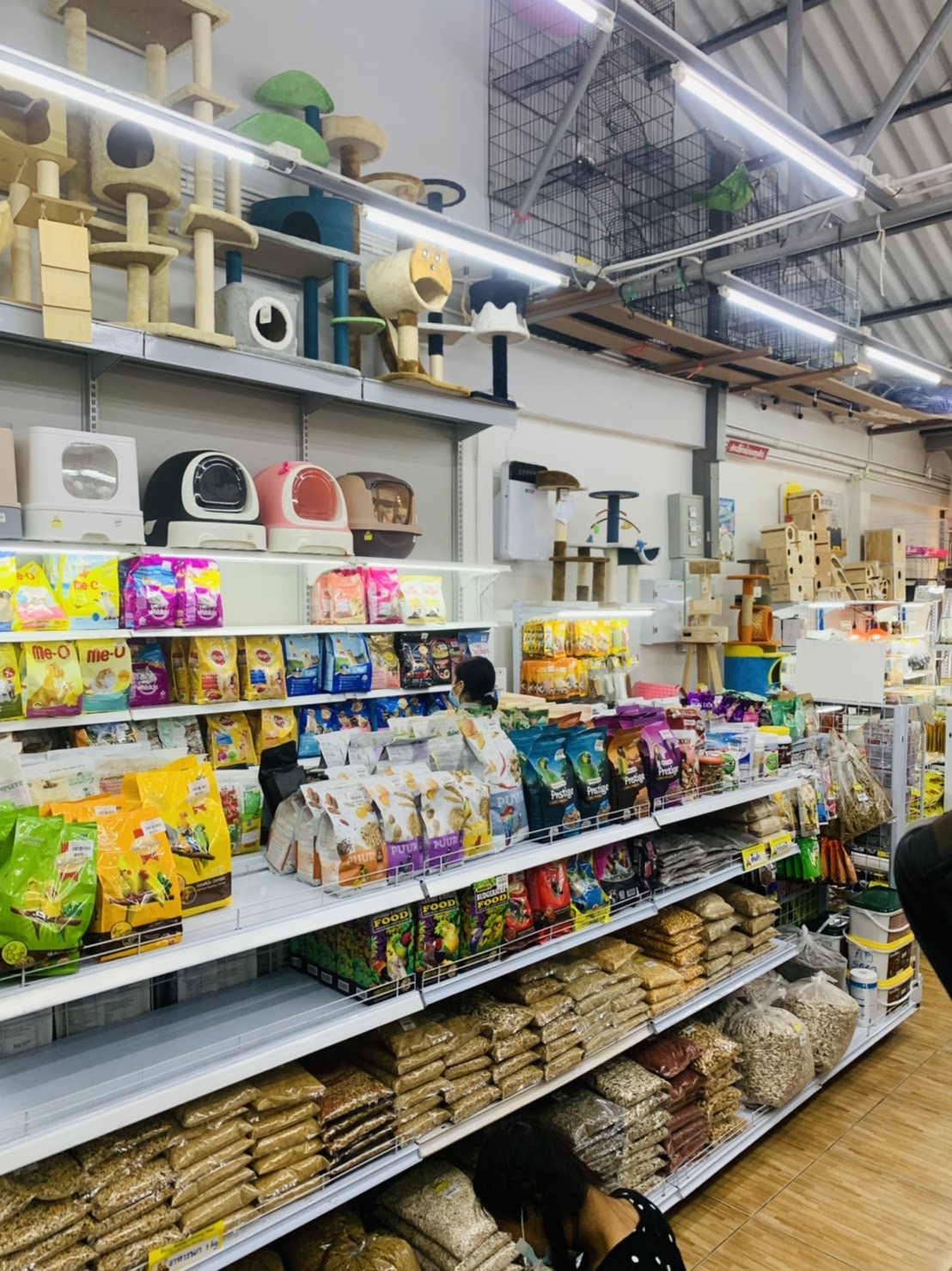 Petz World Chiang Mai