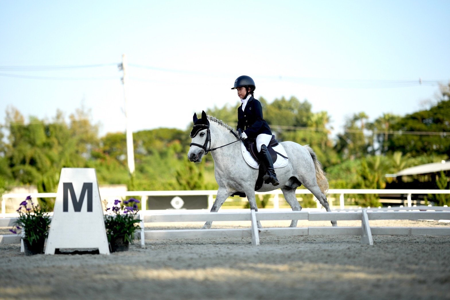 Windy Equestrian Club