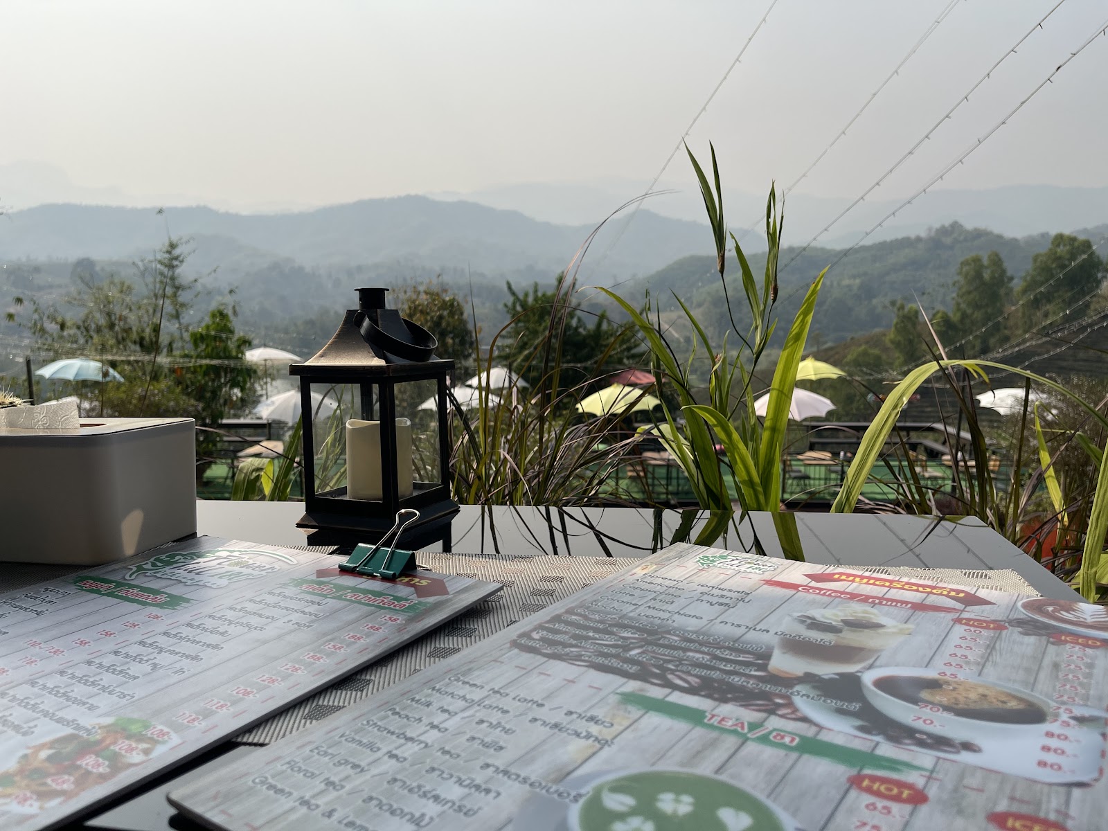 Flower hill 180 @chiangrai