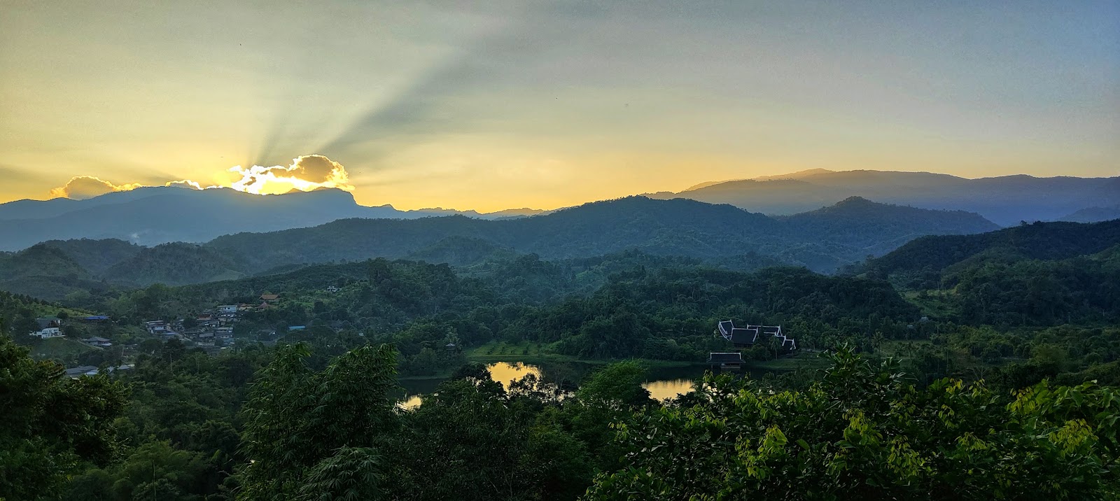 Flower hill 180 @chiangrai