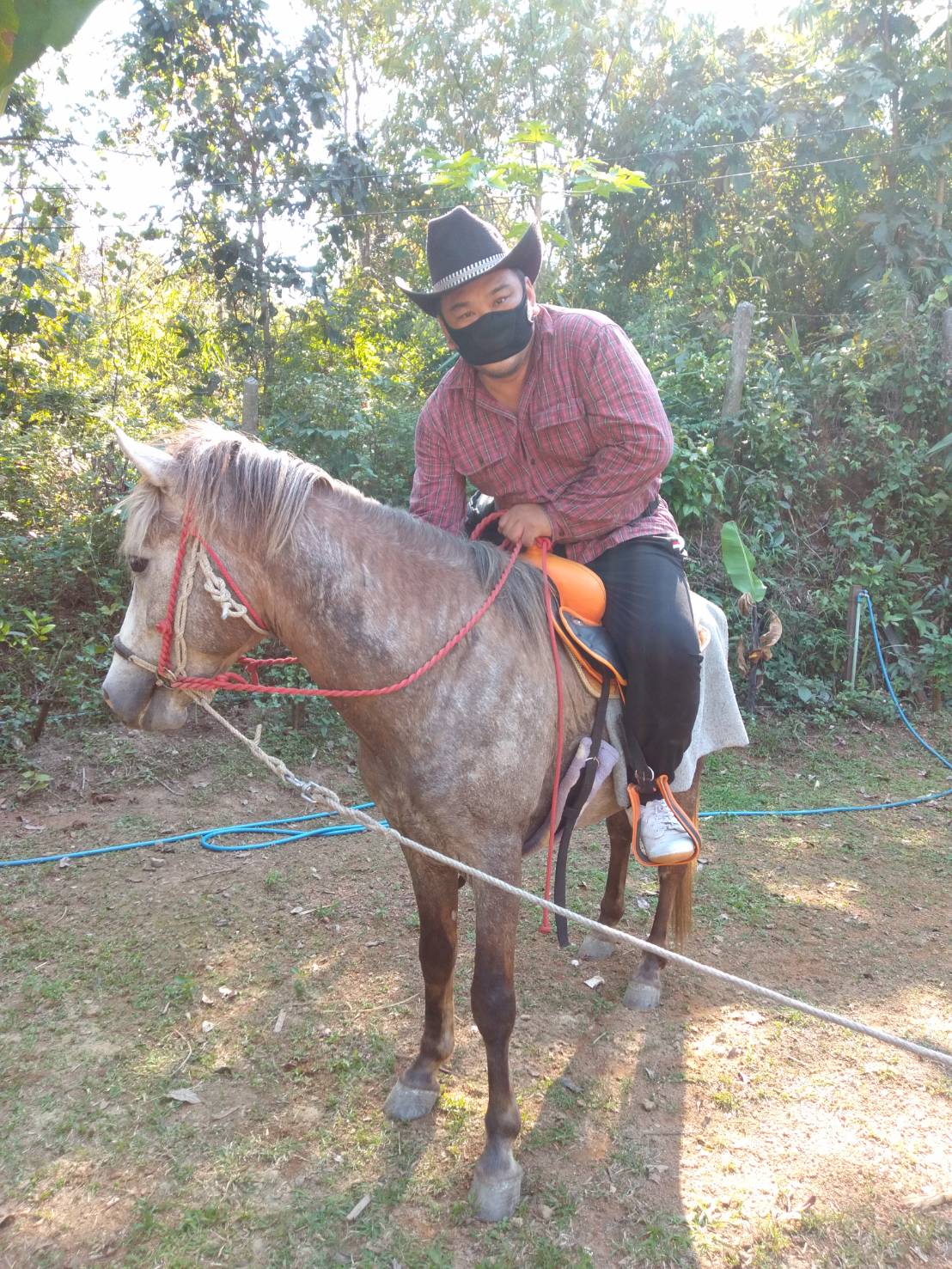 Orsen Horses