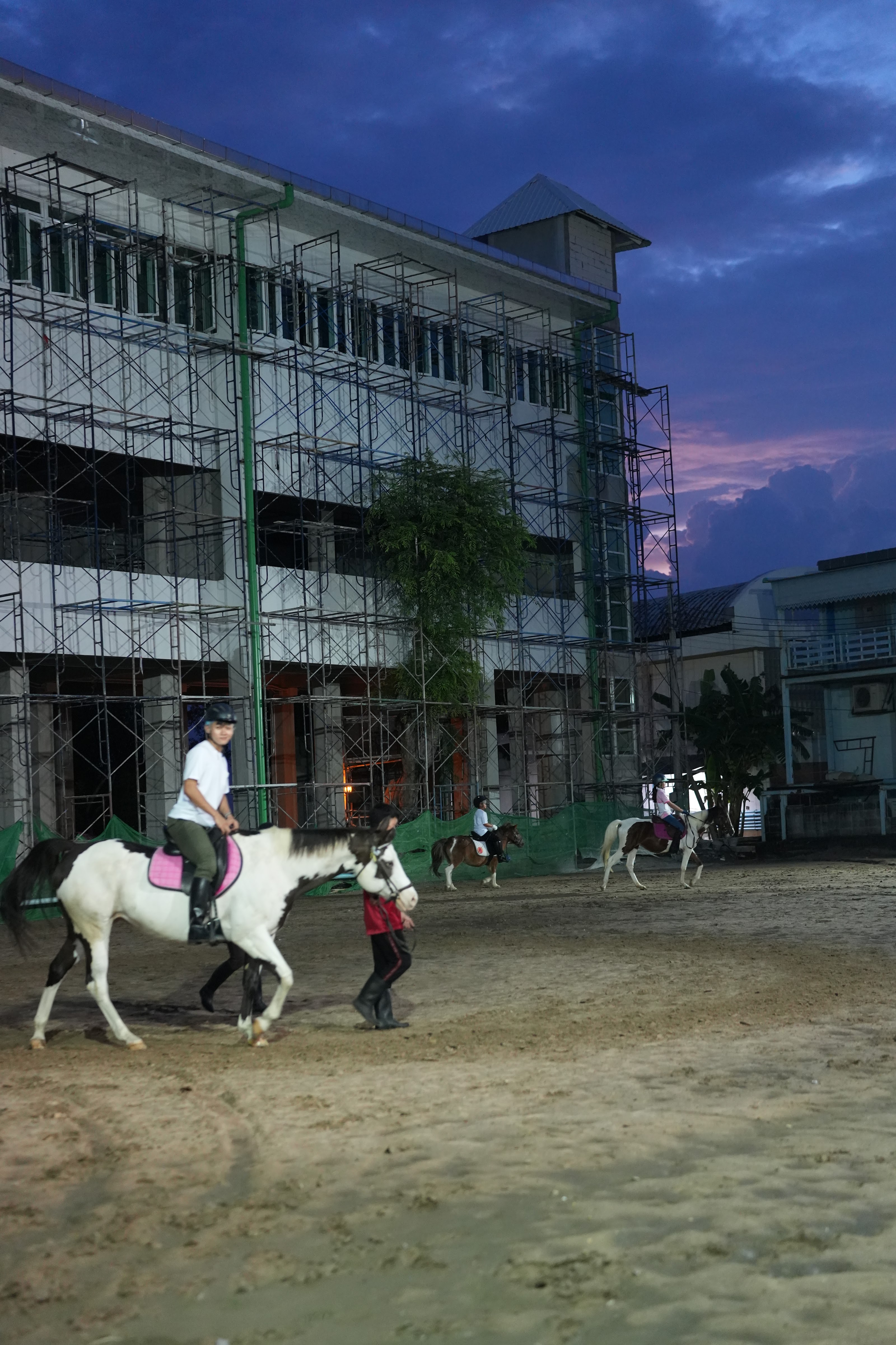 22nd Horse Club