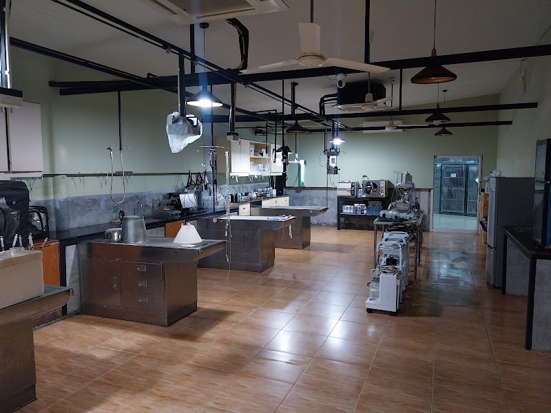 Animal Army Hospital