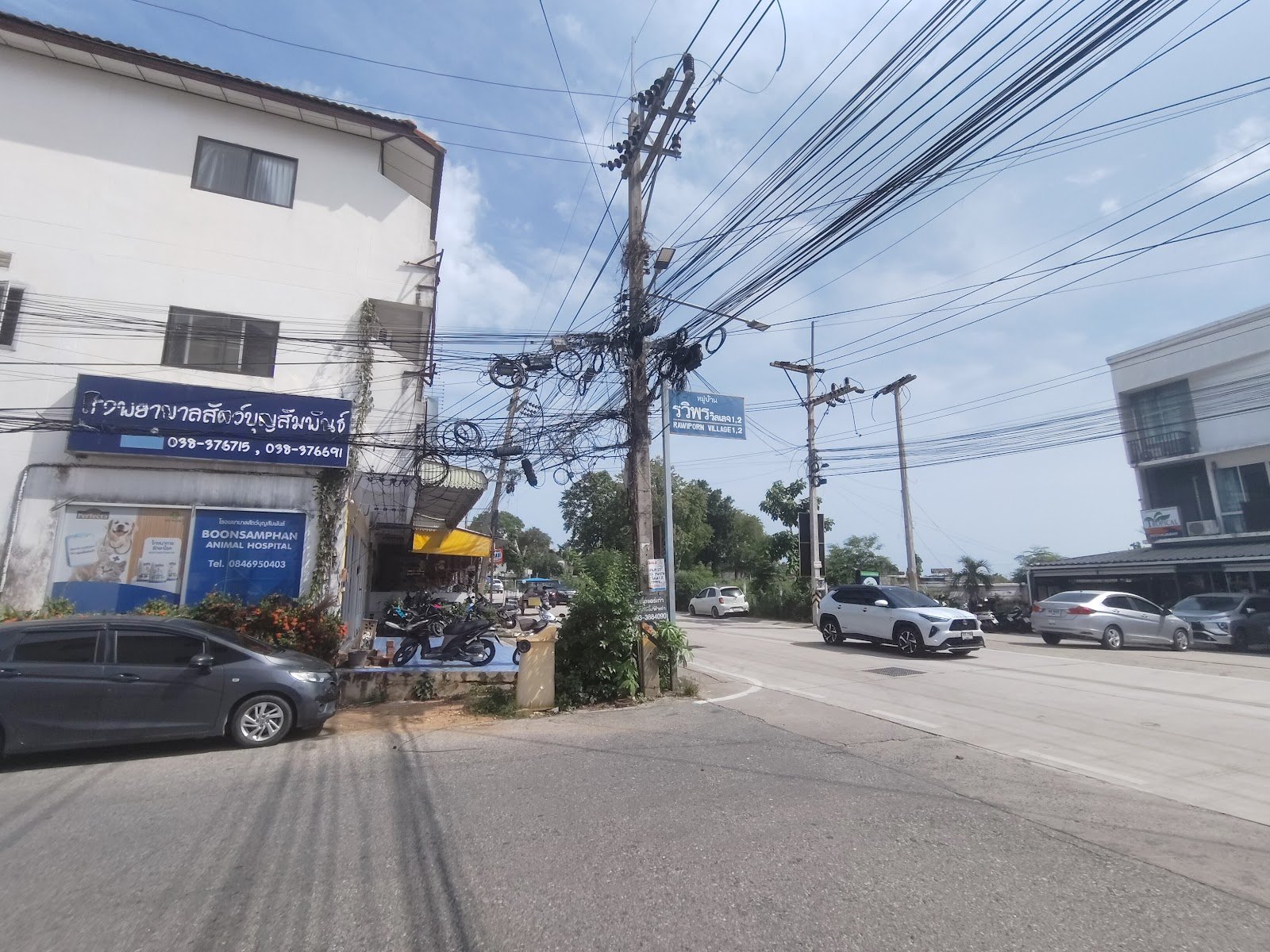 Boonsamphan animal hospital