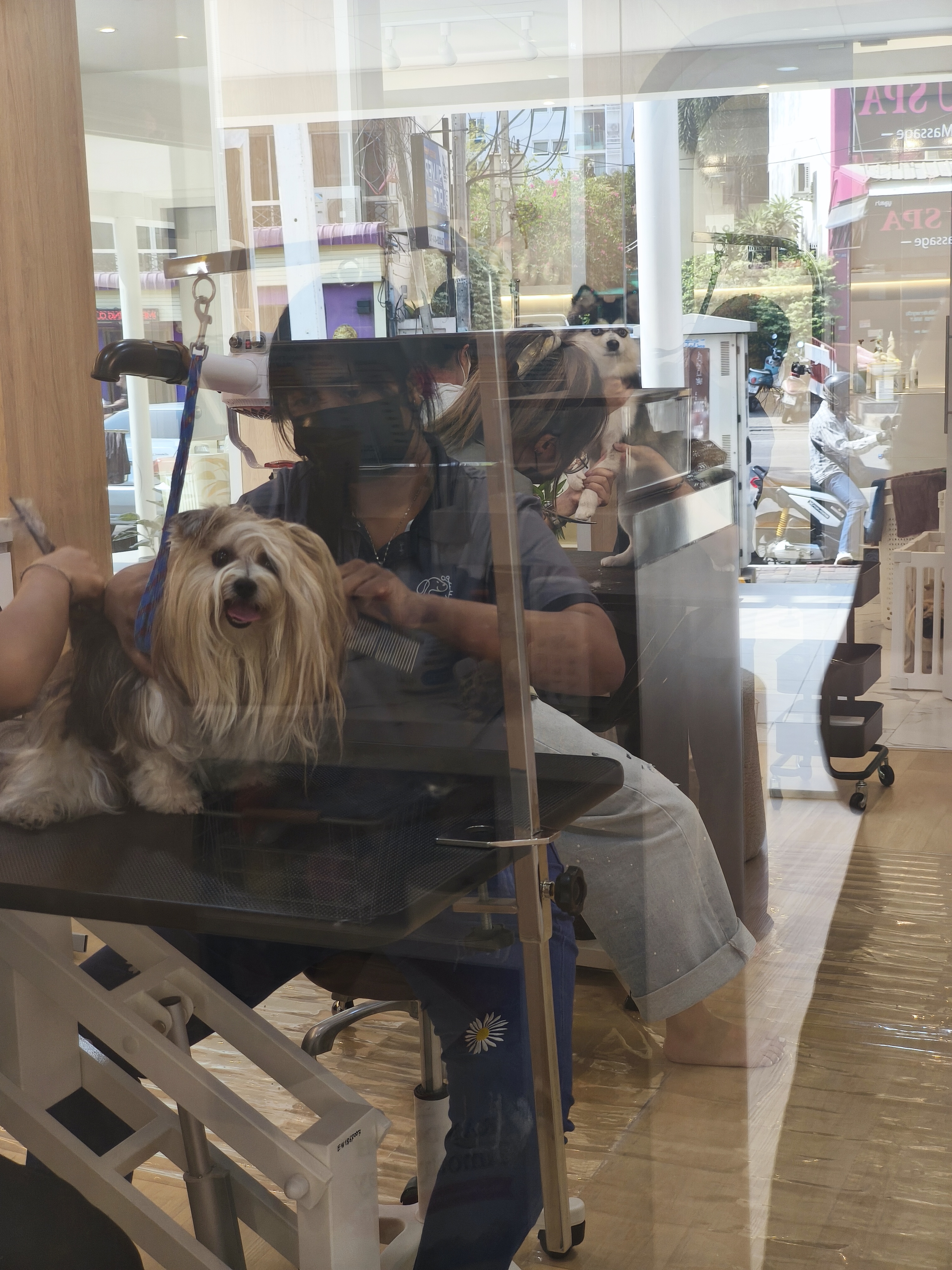 Furpet grooming and hotel