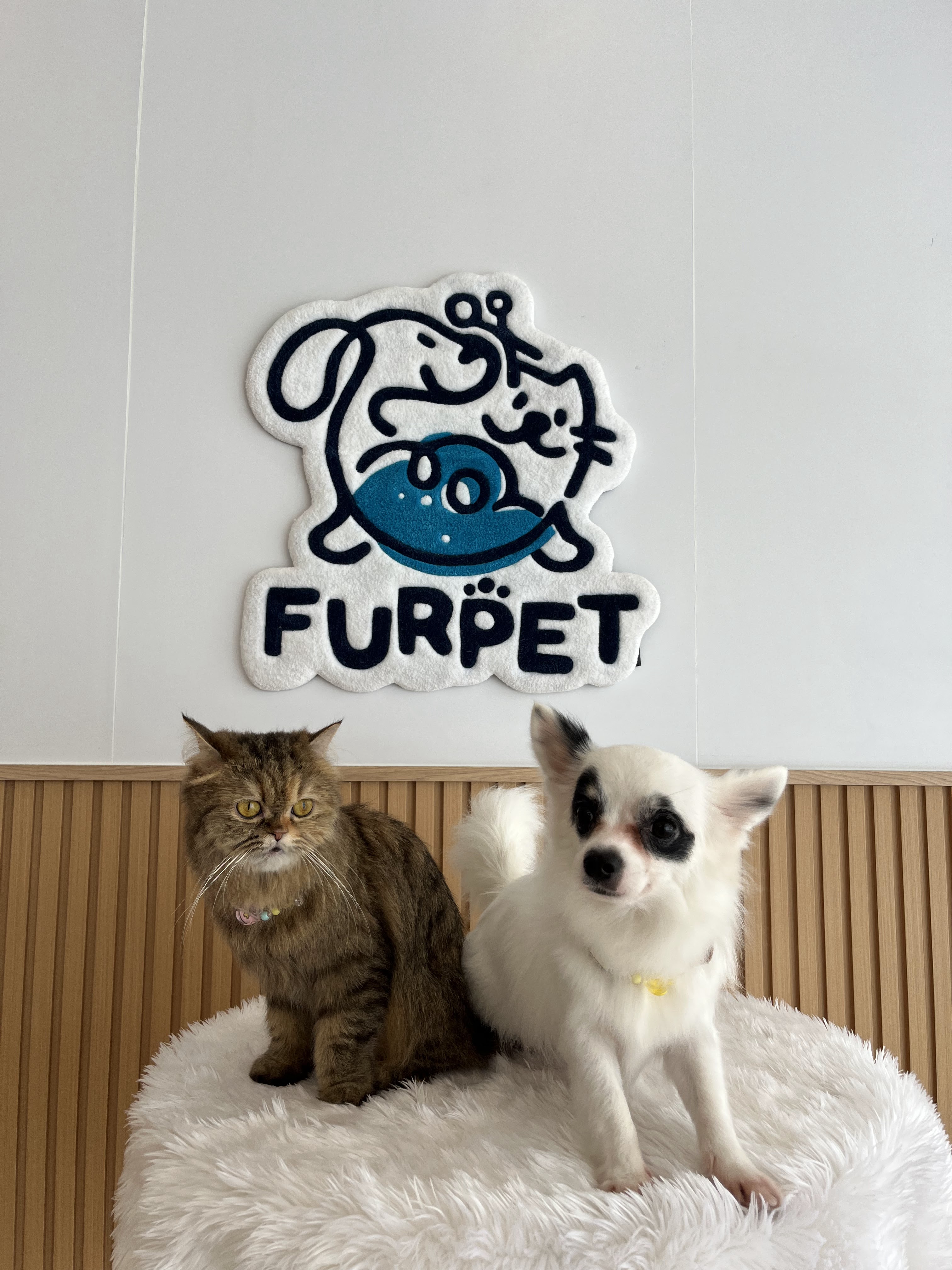 Furpet grooming and hotel