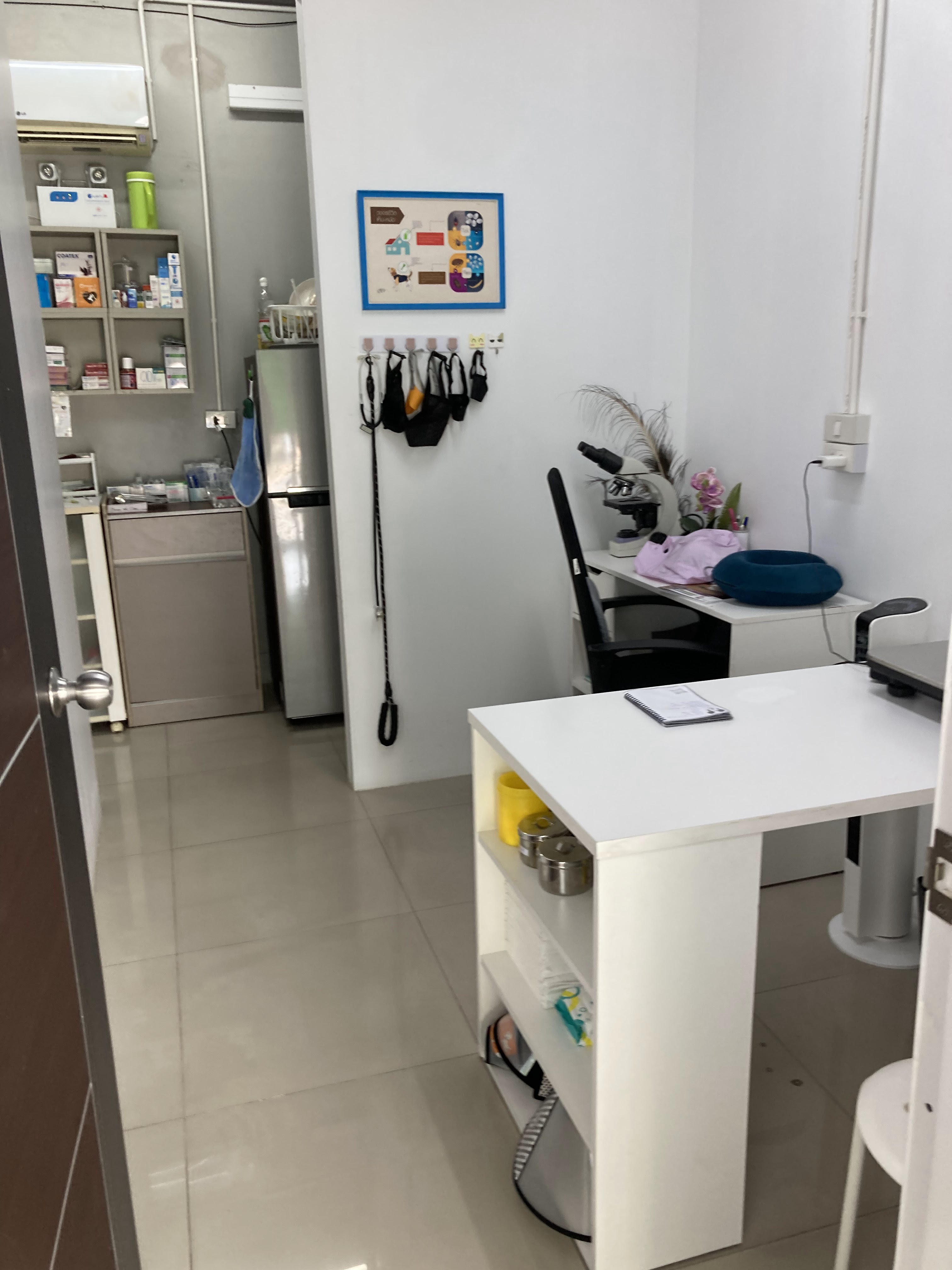 Meow Vet Clinic