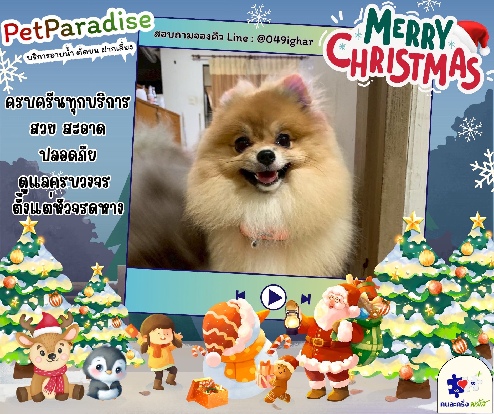 Pet Paradise