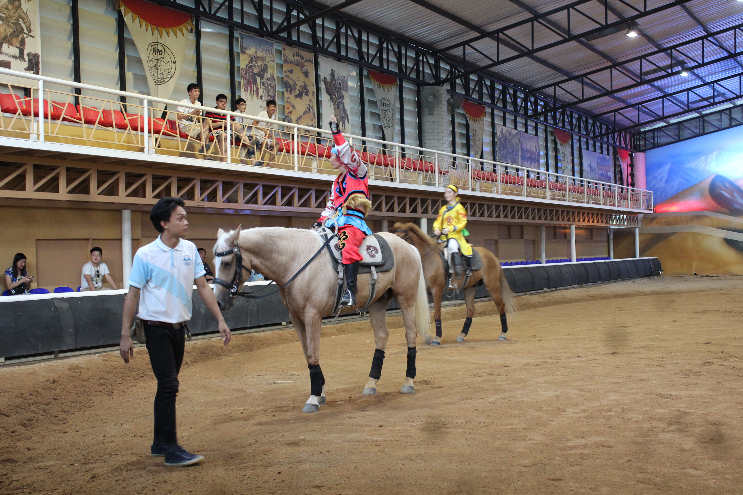 Pipo Pony Club