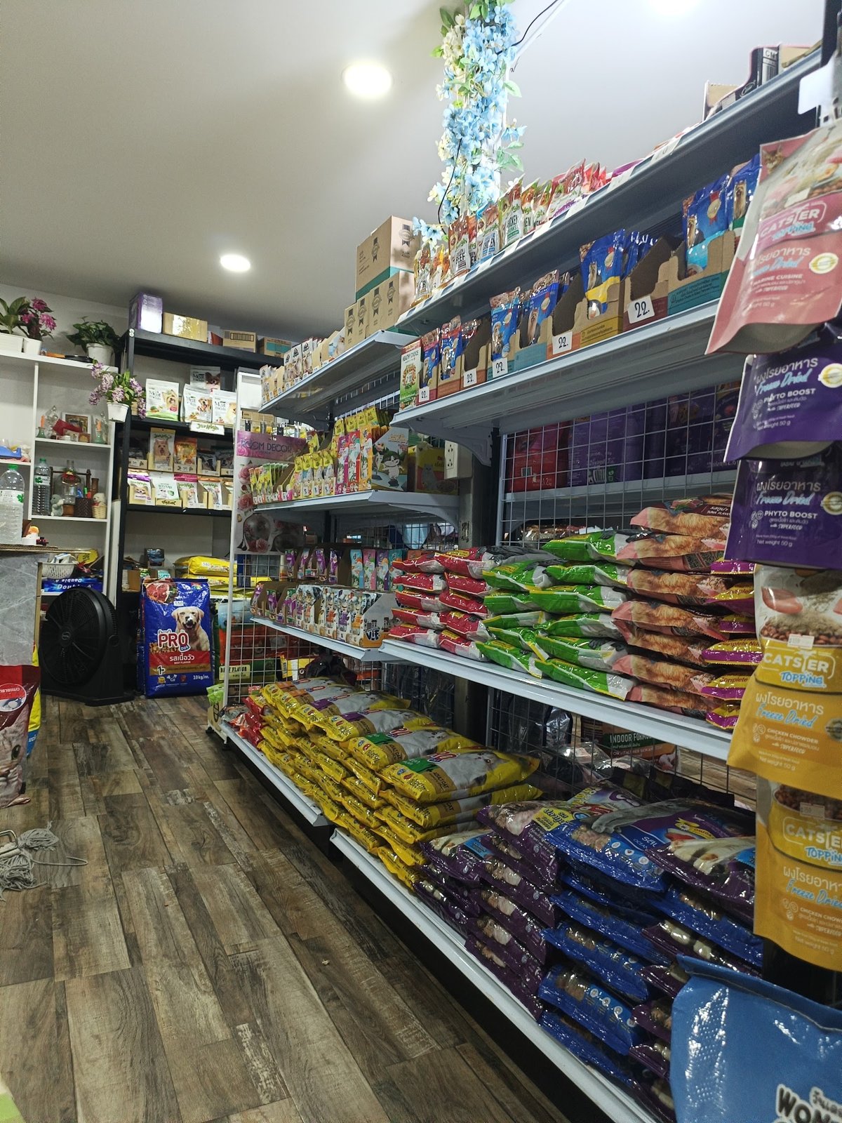 Siri Happy Pet Land