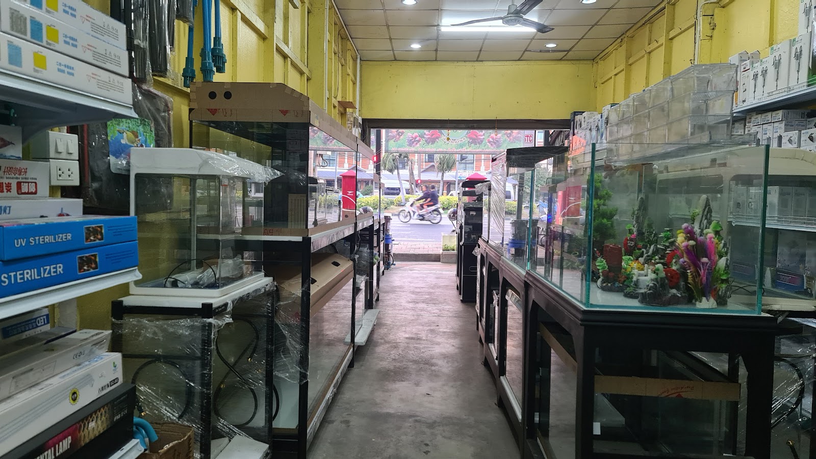 Tao Fish Shop
