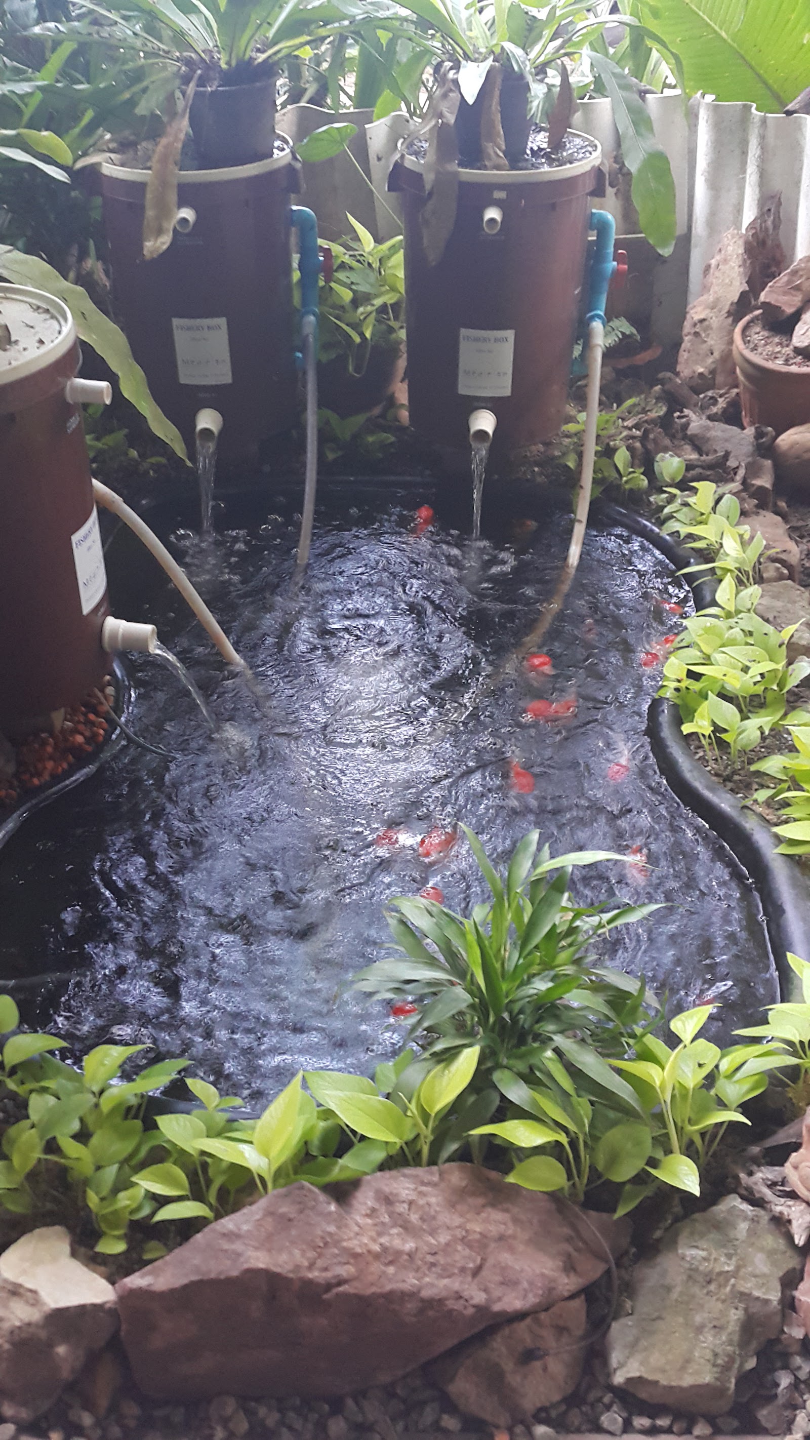 Aod Aquarium