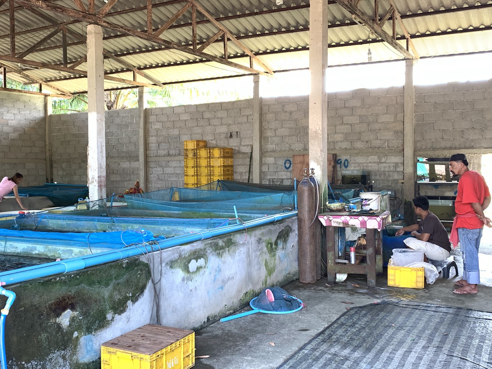 Khao Peeppanupra