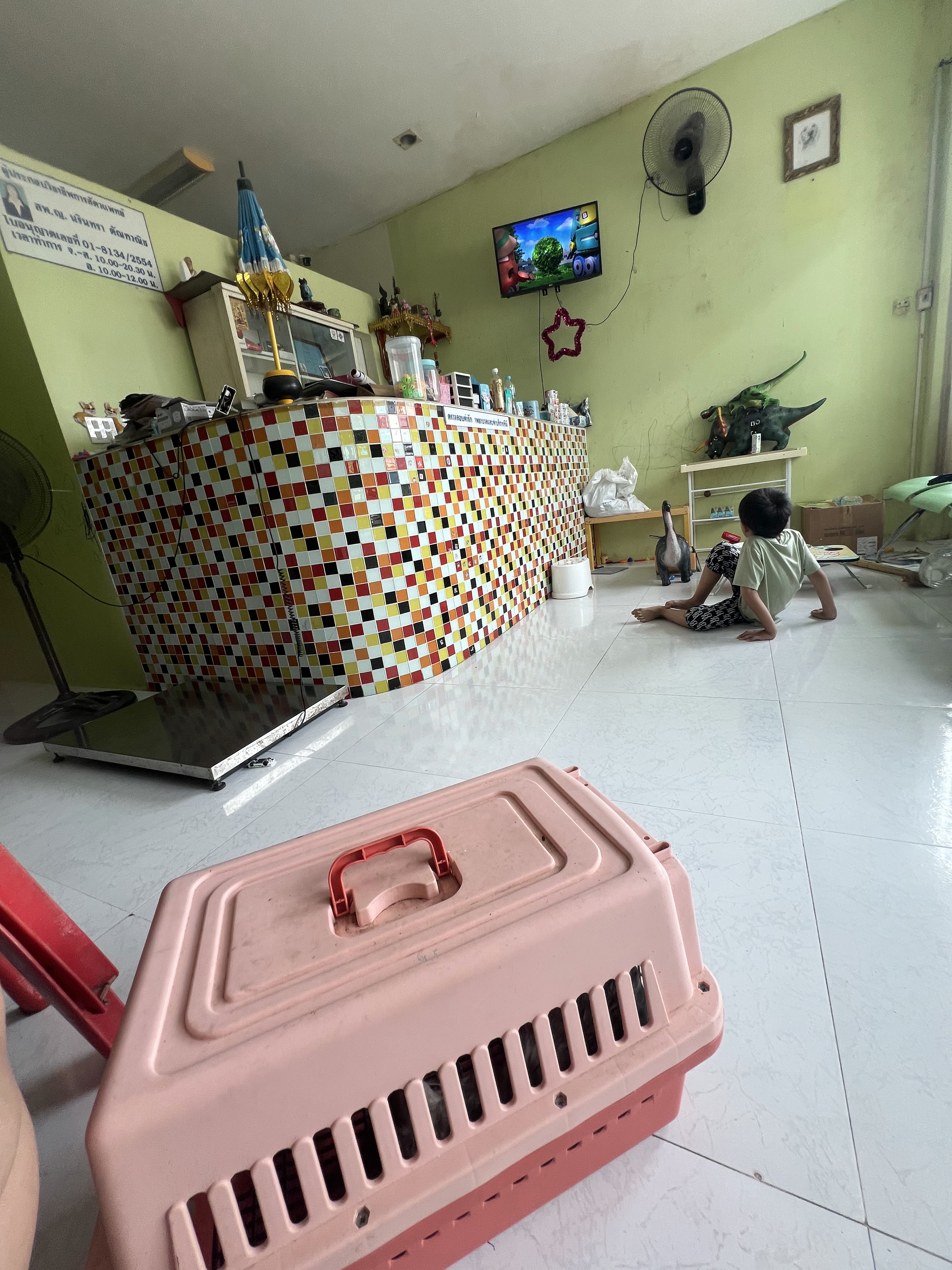 Doctor Tan Animal treatment