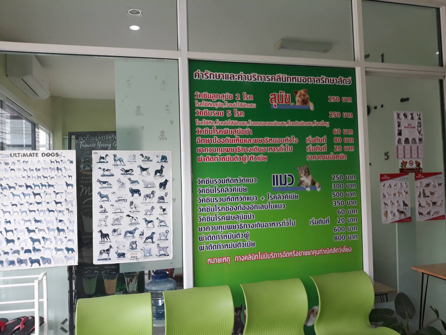 Doctor Tan Animal treatment