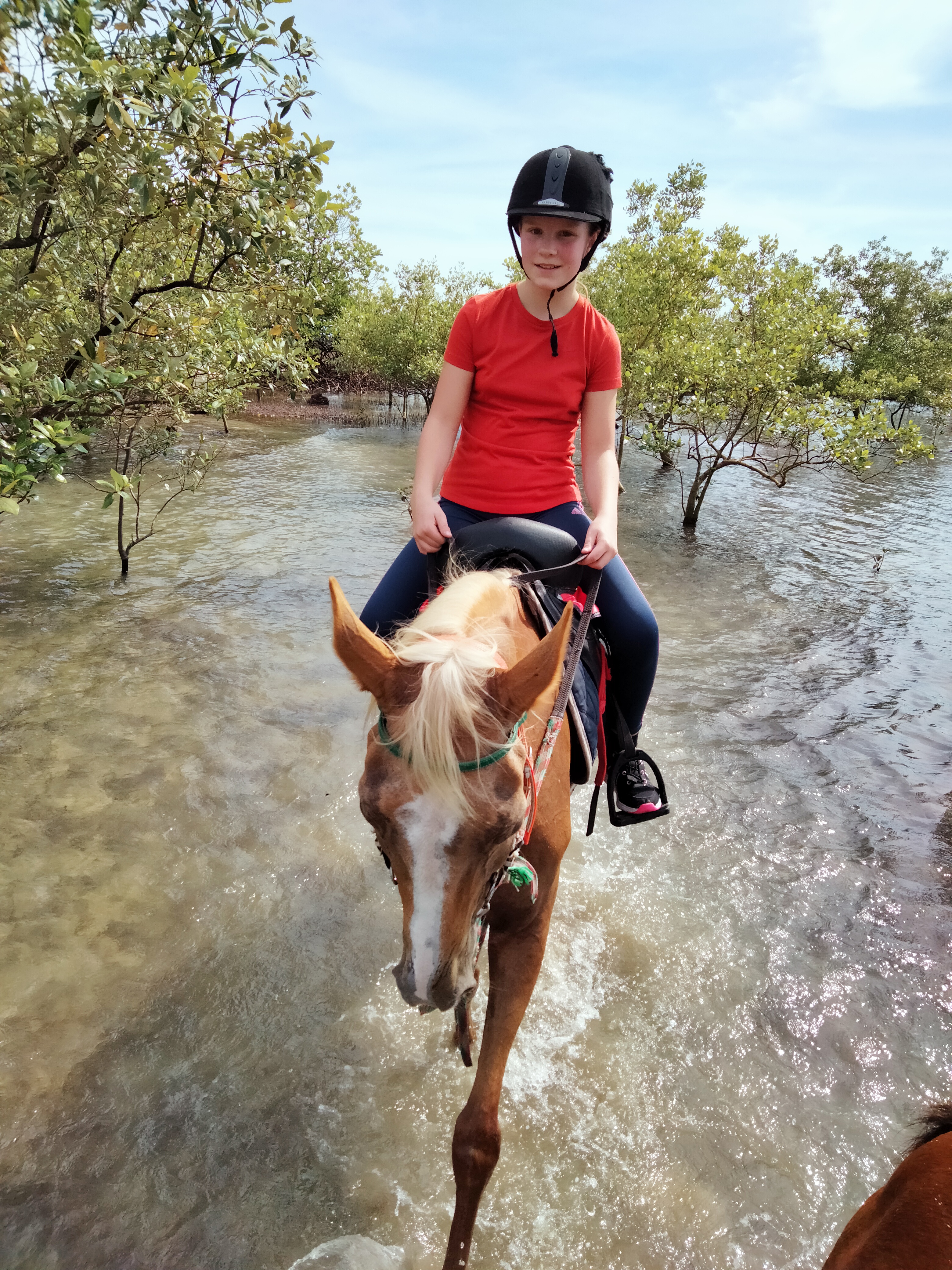 Krabi Horse Riding