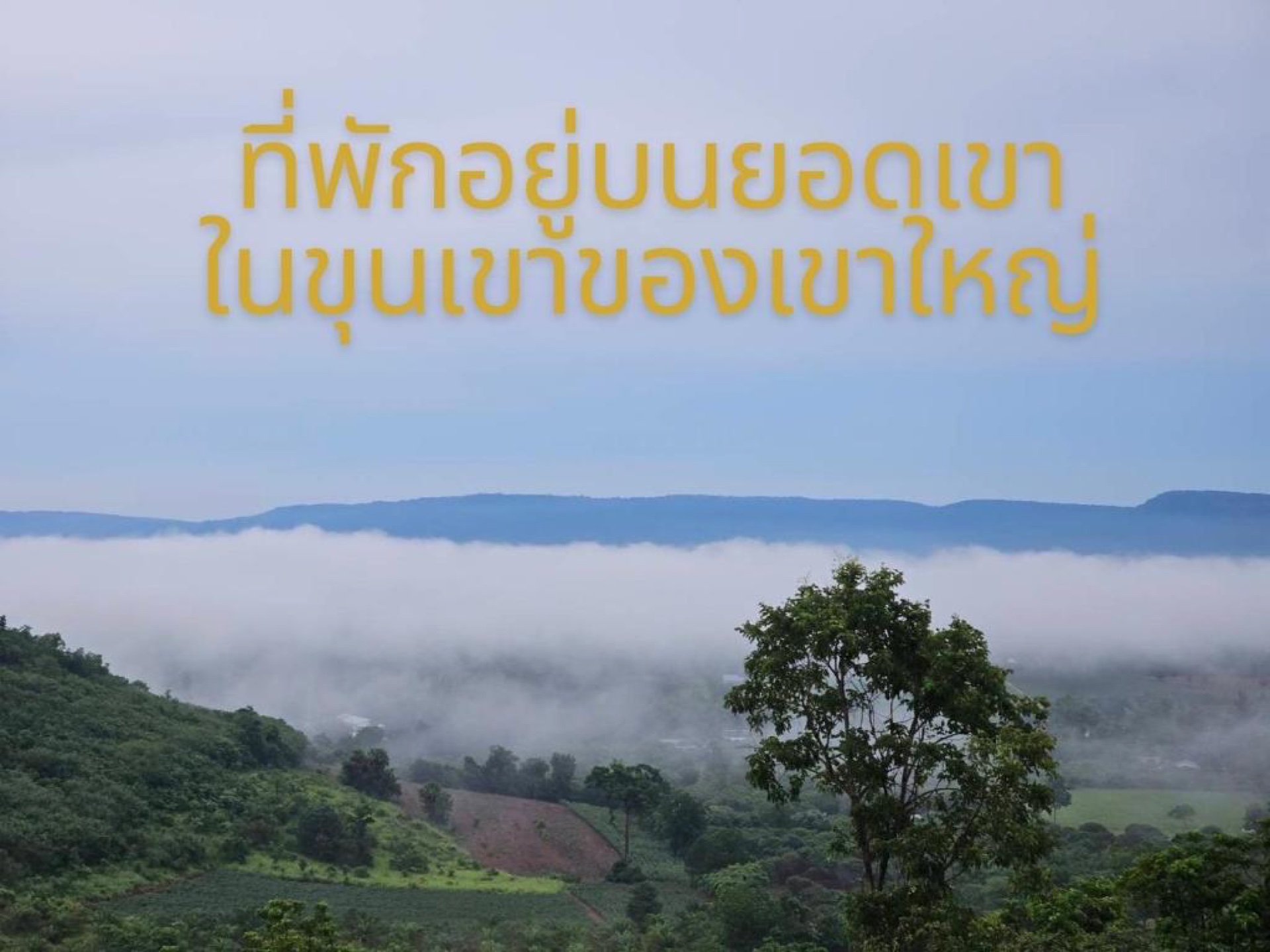 Moon Camp Khaoyai