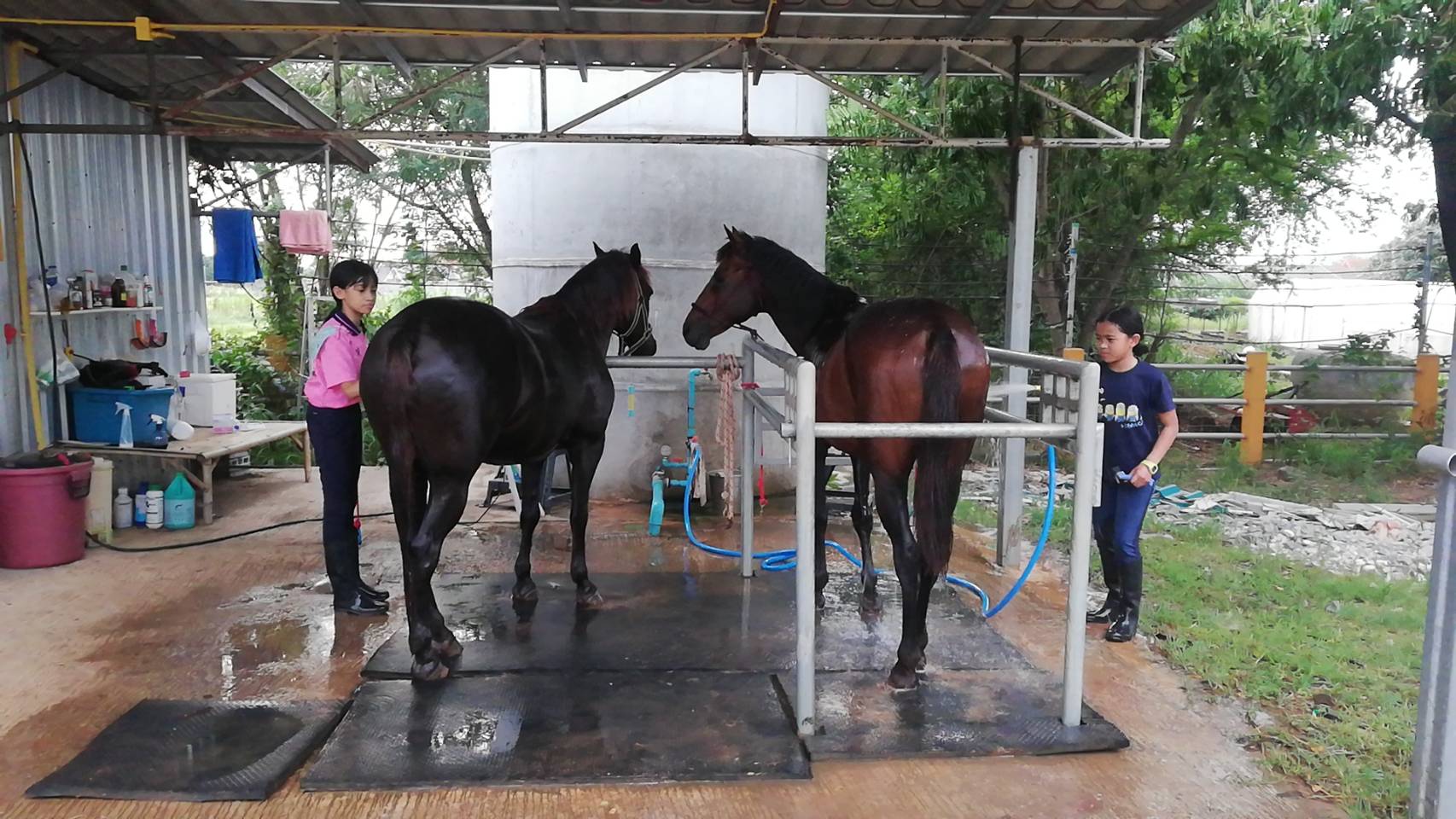 Route 2 Horse Stable