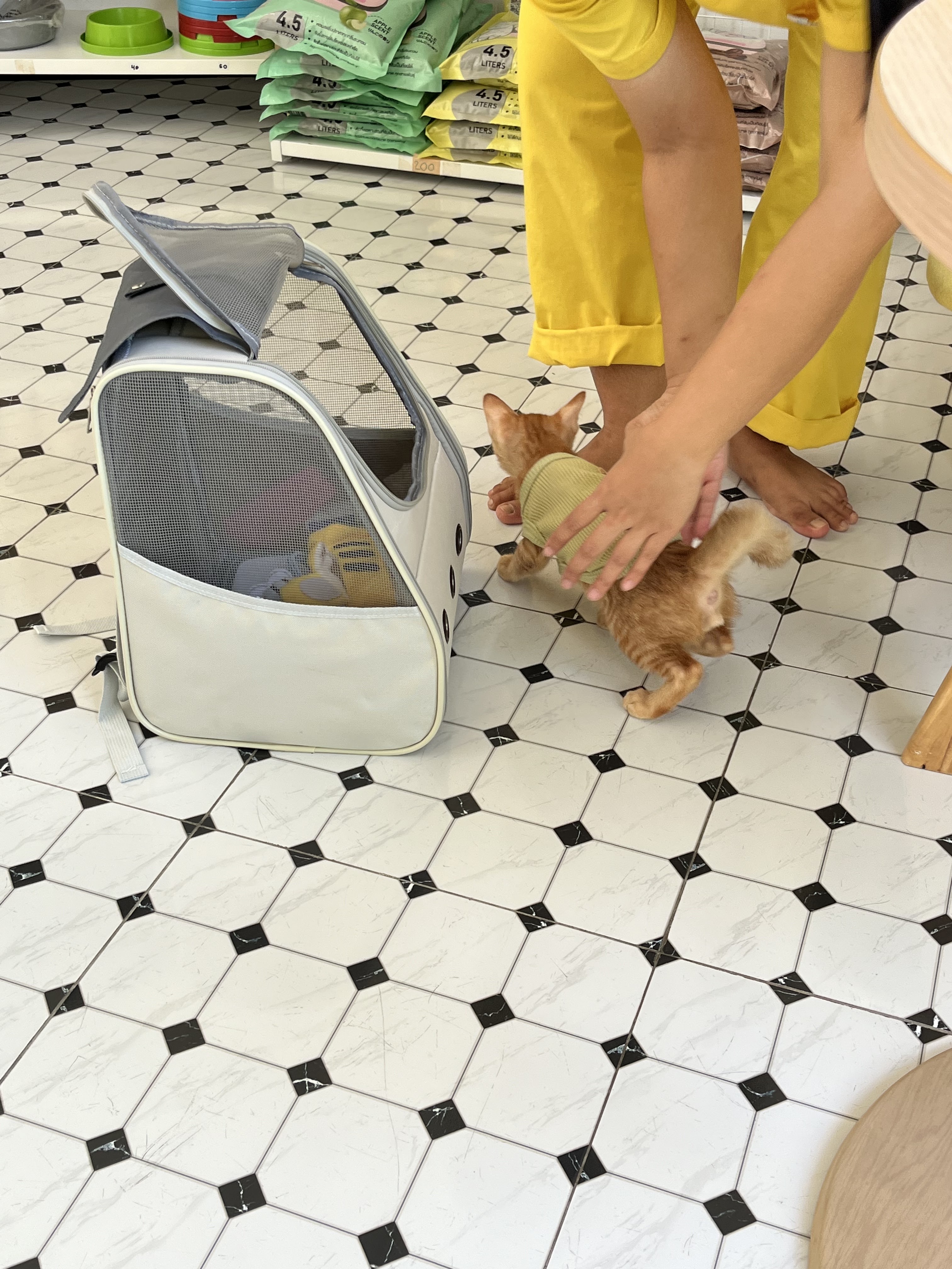 Fontaine Animal Hospital