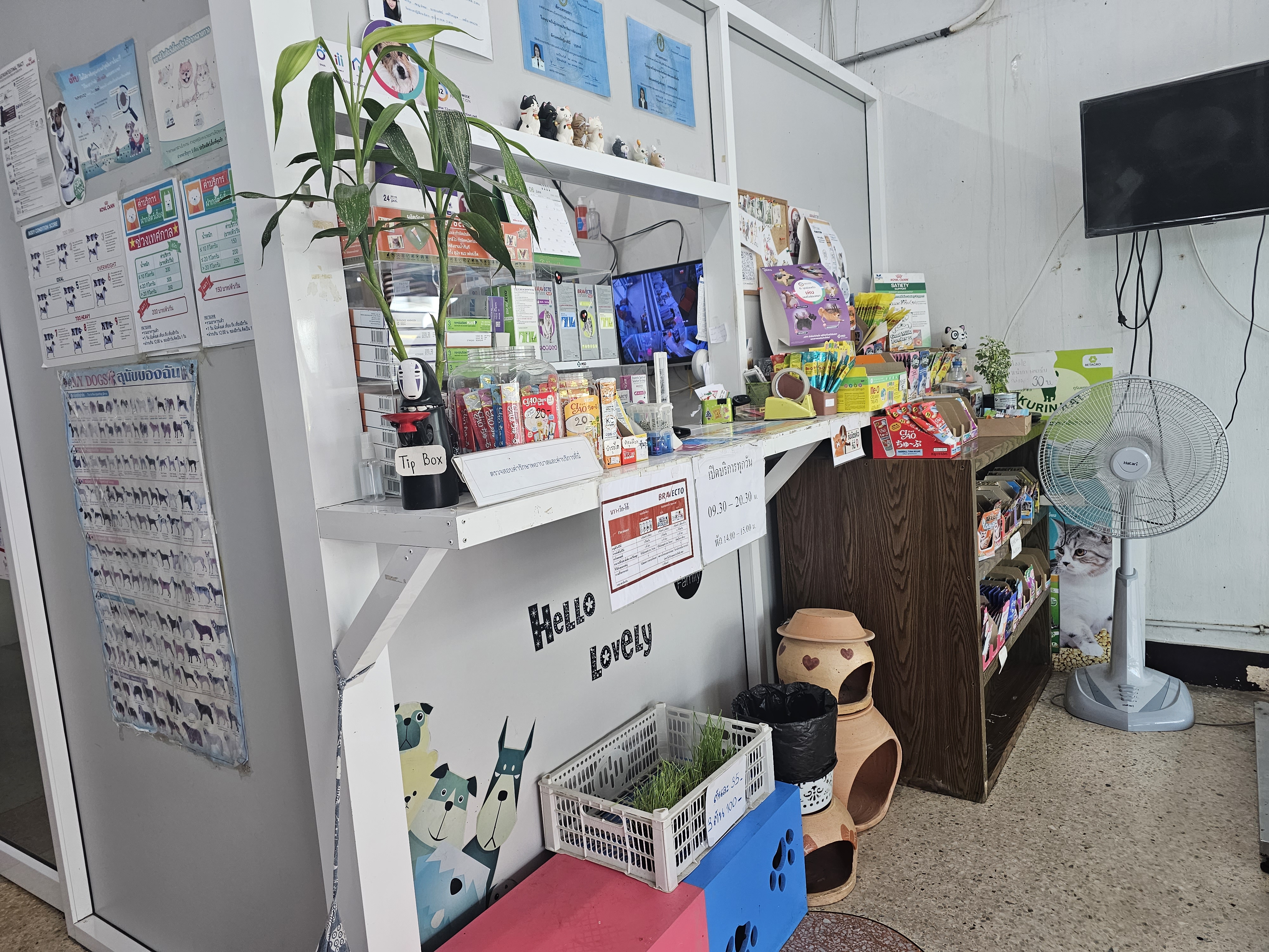 Veterinarian Muang Non