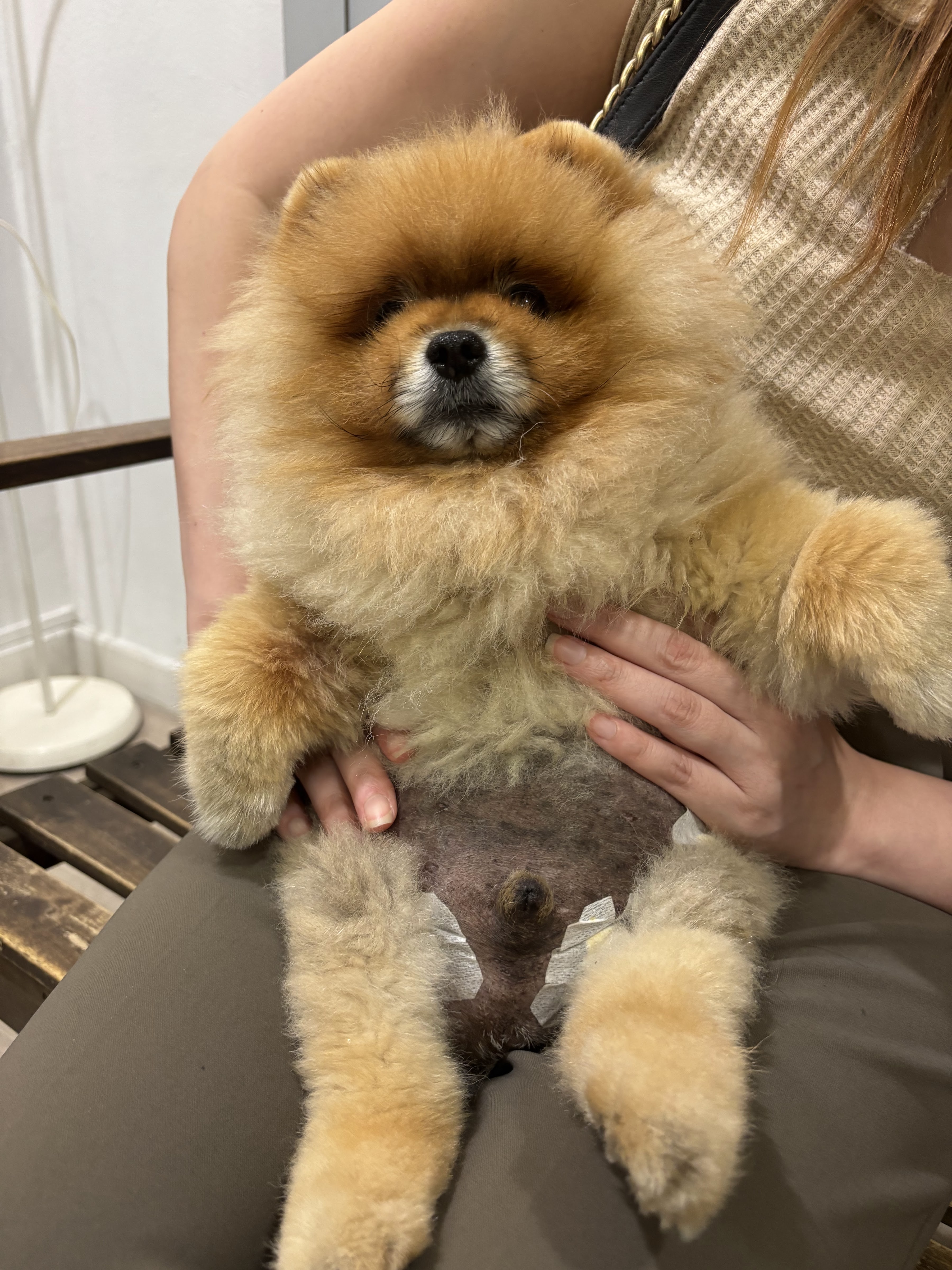 The only doctor is kind, the veterinarian