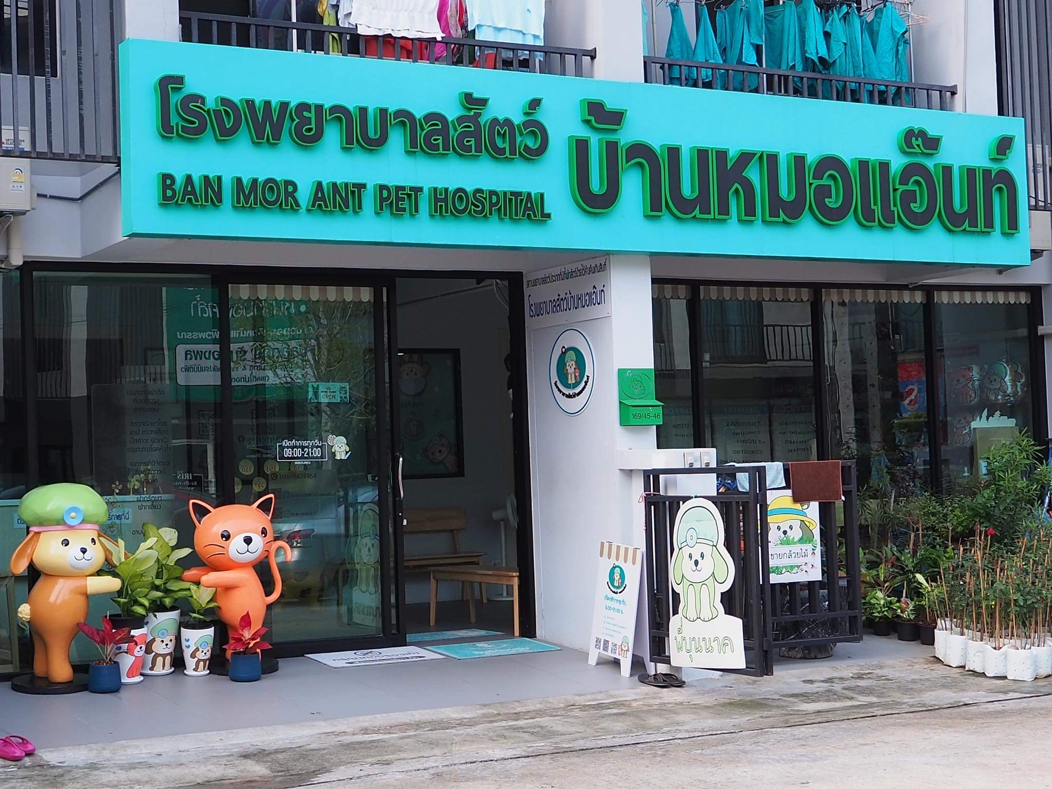 Ban Mo Ant Animal Hospital