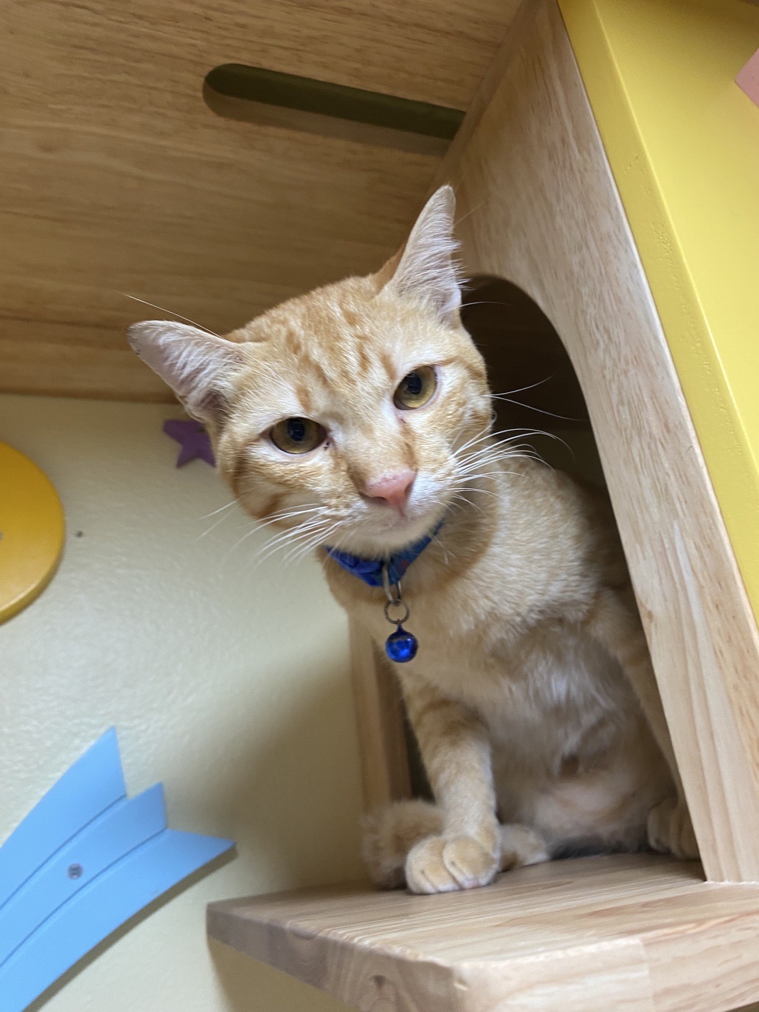 Malileen vet clinic